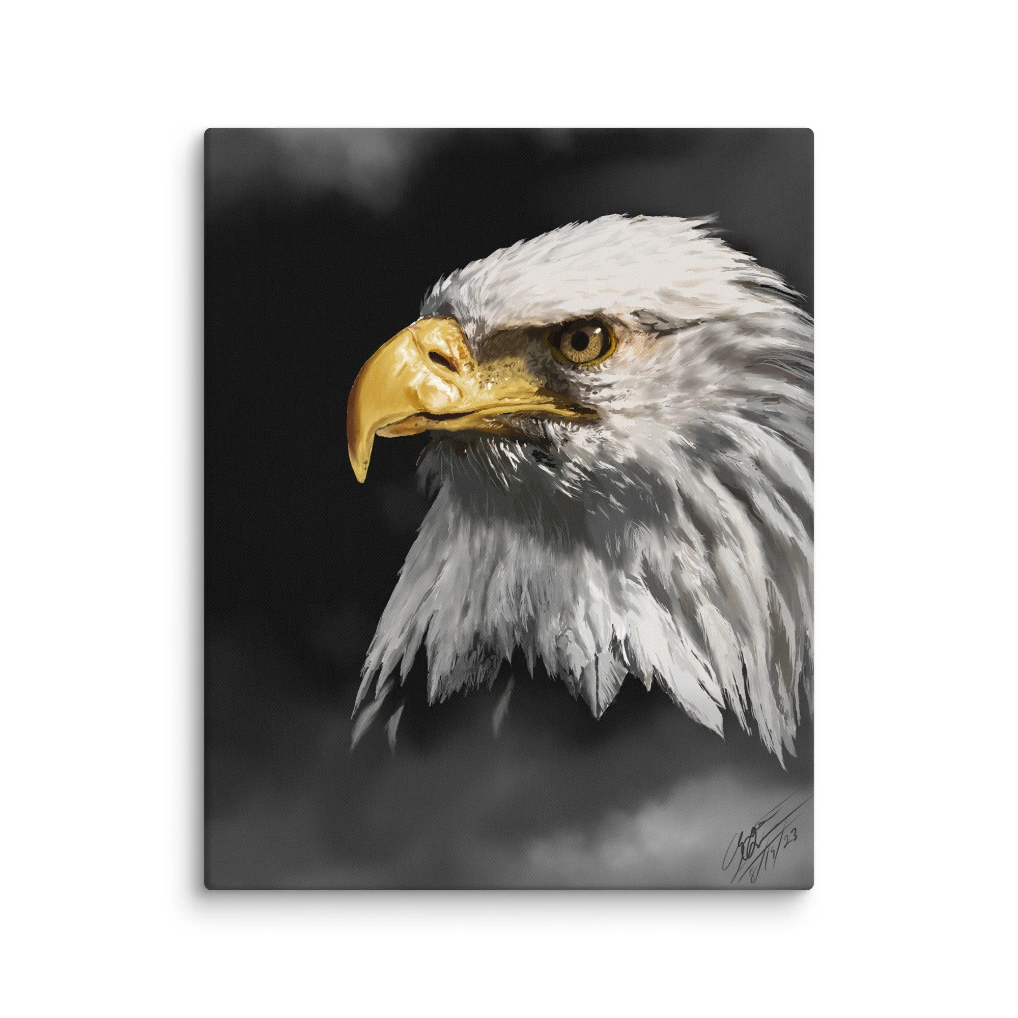 canvas-(in)-16x20-wall-687fd23433792.jpg