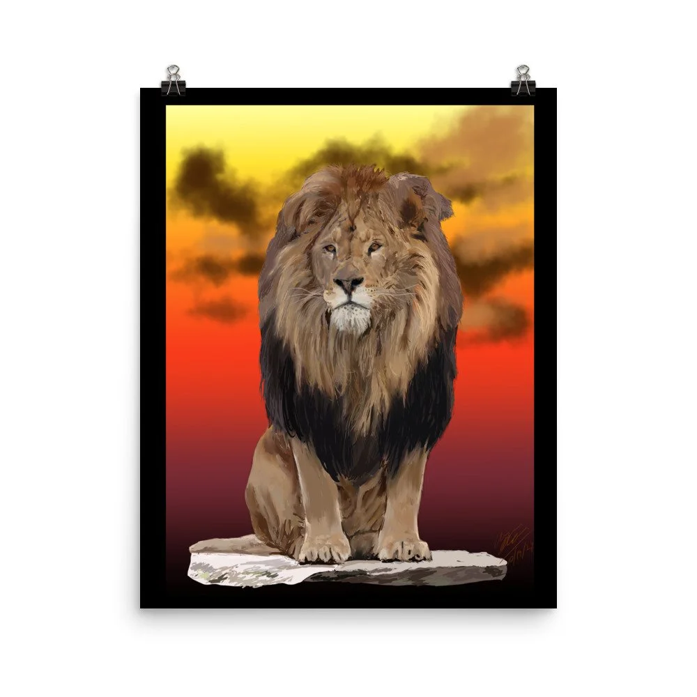 enhanced-matte-paper-poster-(in)-16x20-transparent-6884d871eb6c6.jpg
