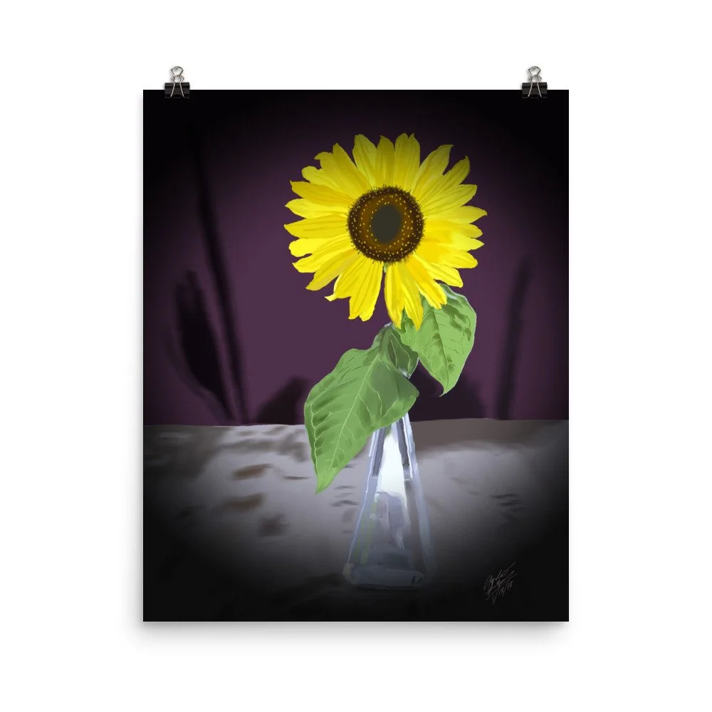 enhanced-matte-paper-poster-(in)-16x20-transparent-68d08a2bbc4e9.jpg