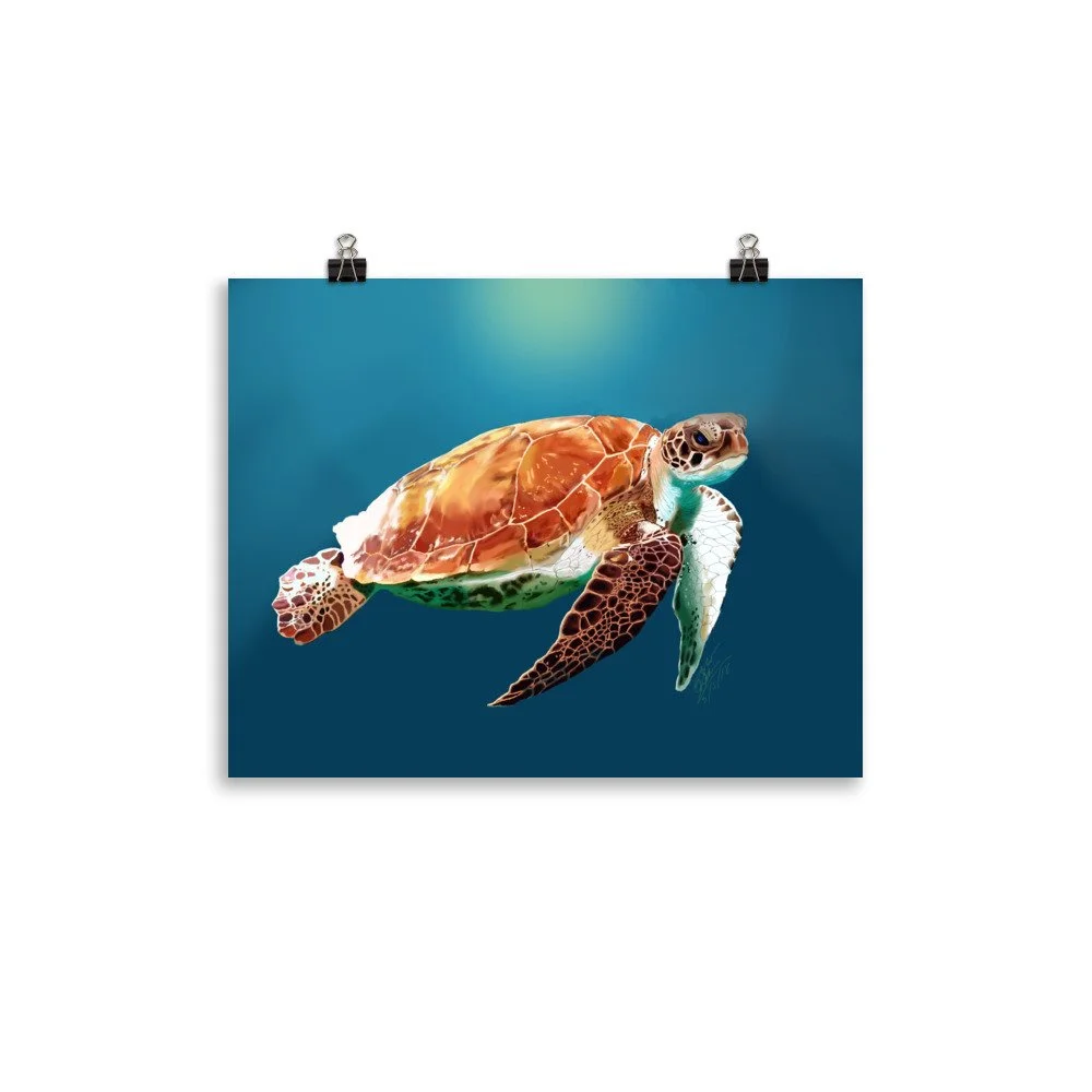 enhanced-matte-paper-poster-(in)-11x14-transparent-68d09419a57e8.jpg