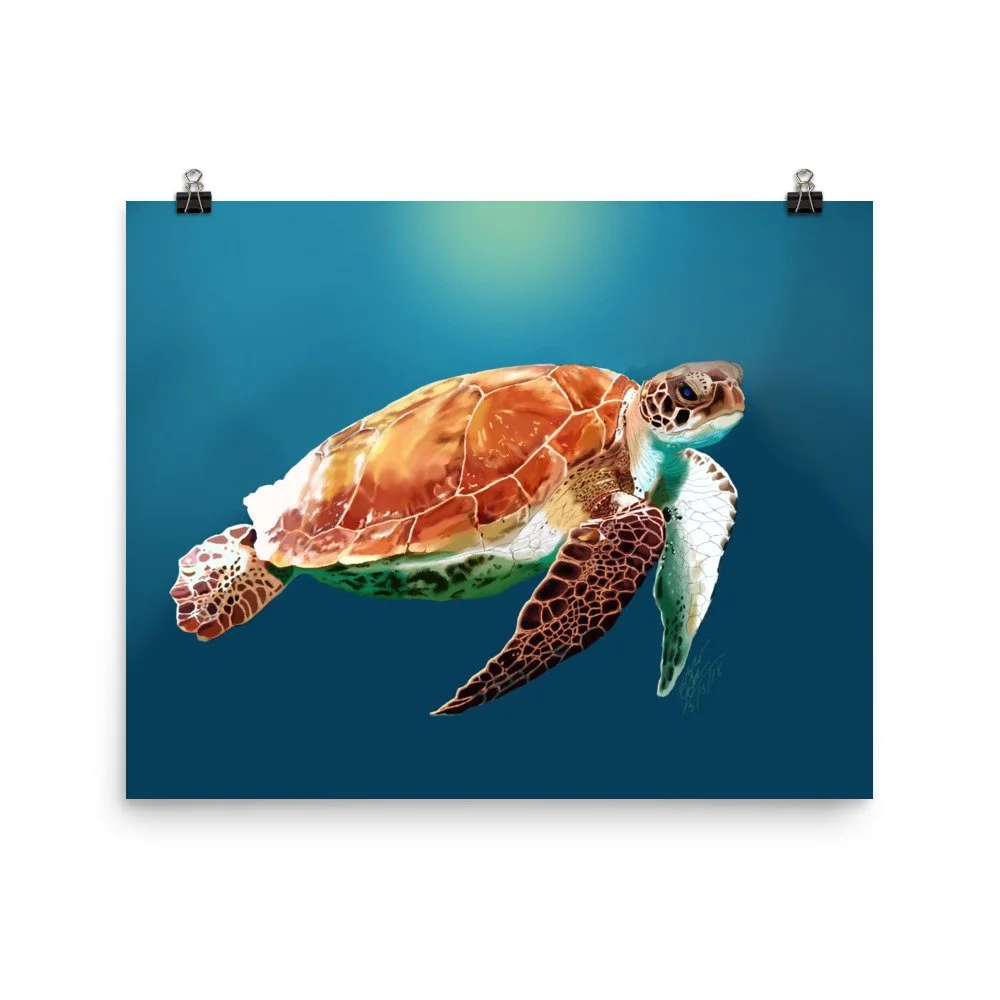 enhanced-matte-paper-poster-(in)-16x20-transparent-68d09419a6949.jpg