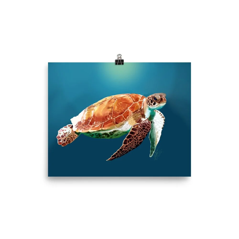 enhanced-matte-paper-poster-(in)-8x10-transparent-68d09419a6abb.jpg