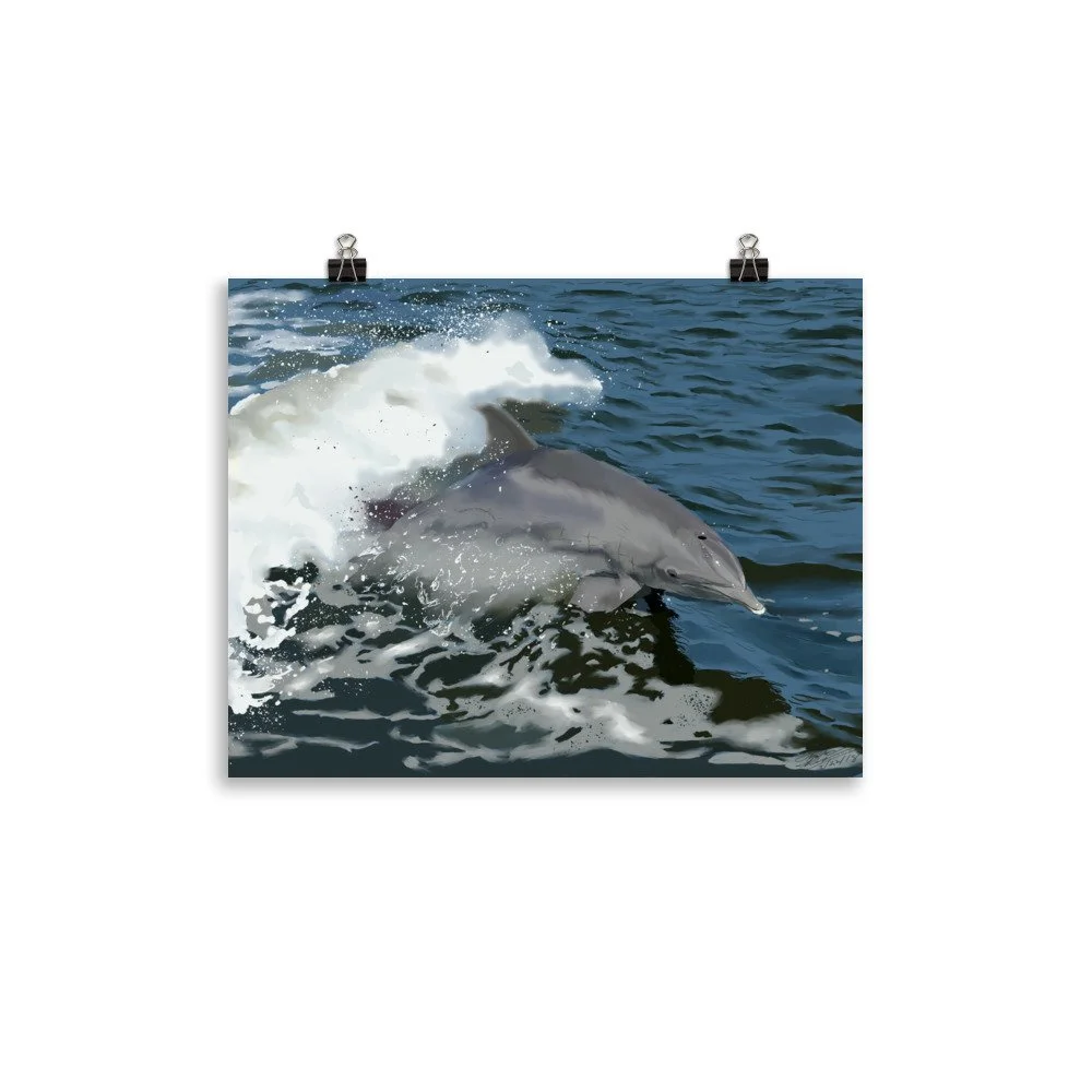 enhanced-matte-paper-poster-(in)-11x14-transparent-68d09684917fd.jpg