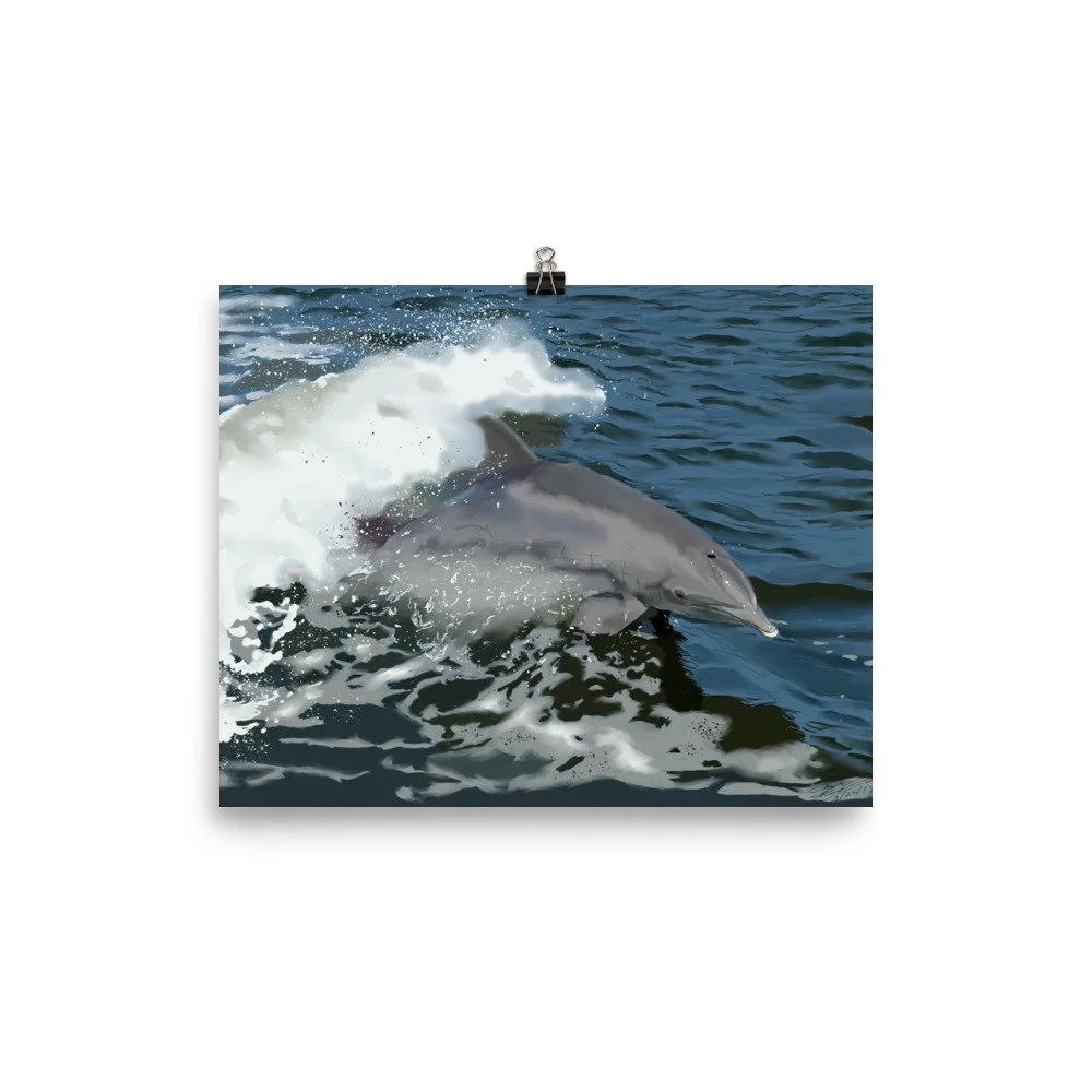 enhanced-matte-paper-poster-(in)-8x10-transparent-68d09684921ca.jpg