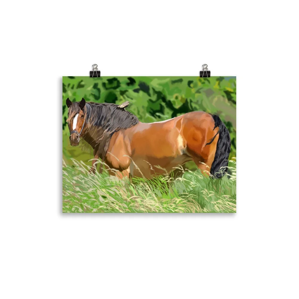 enhanced-matte-paper-poster-(in)-11x14-transparent-68d0a34c7886d.jpg