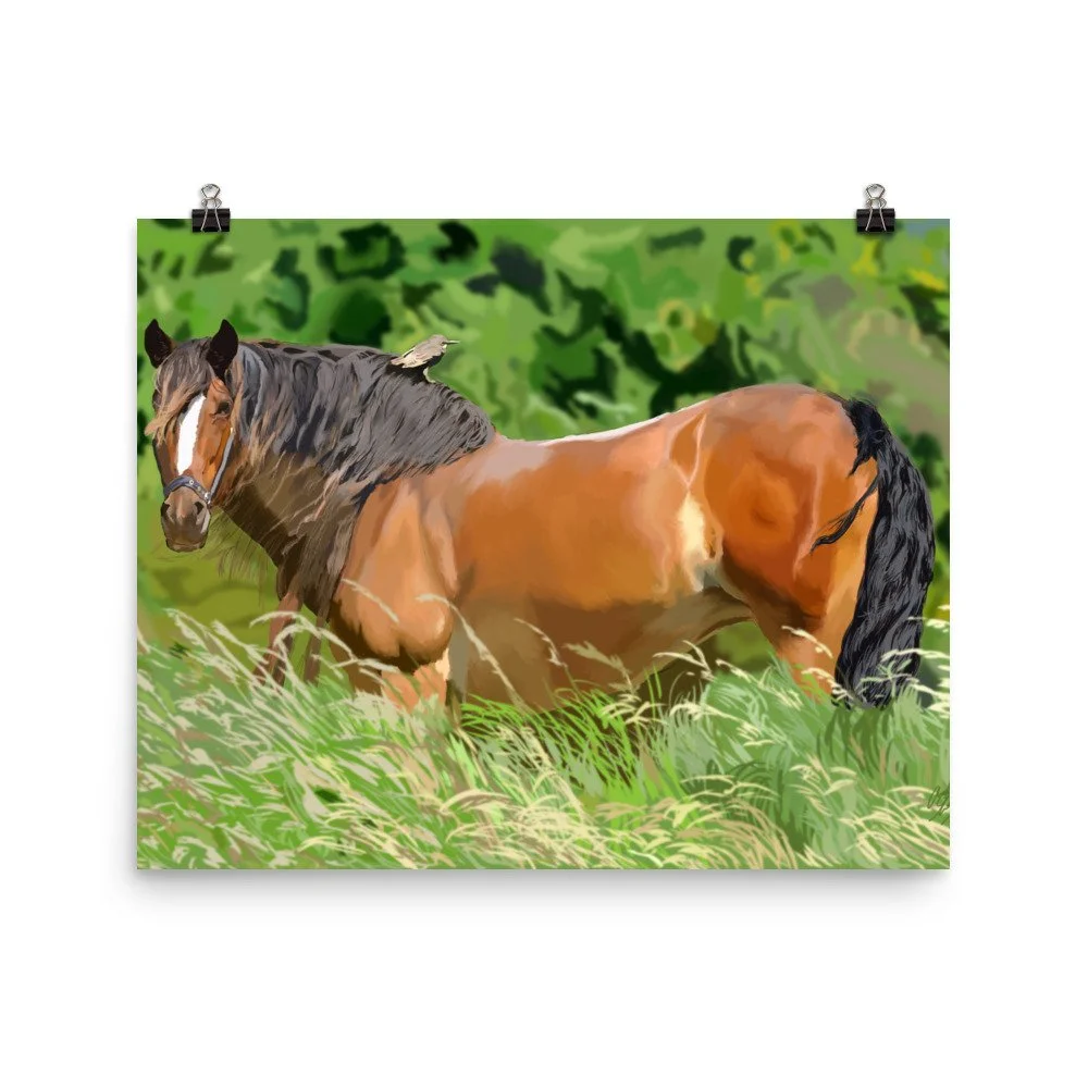 enhanced-matte-paper-poster-(in)-16x20-transparent-68d0a34c78f36.jpg