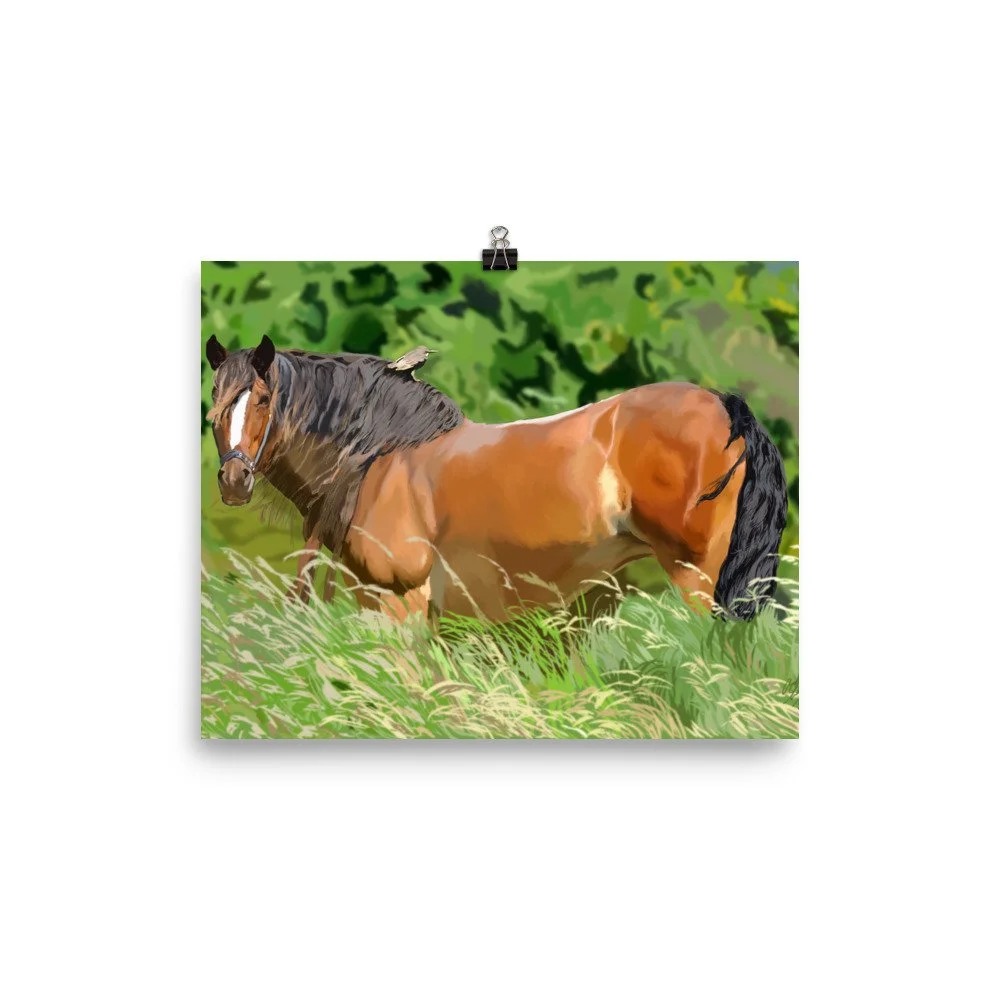 enhanced-matte-paper-poster-(in)-8x10-transparent-68d0a34c790b8.jpg