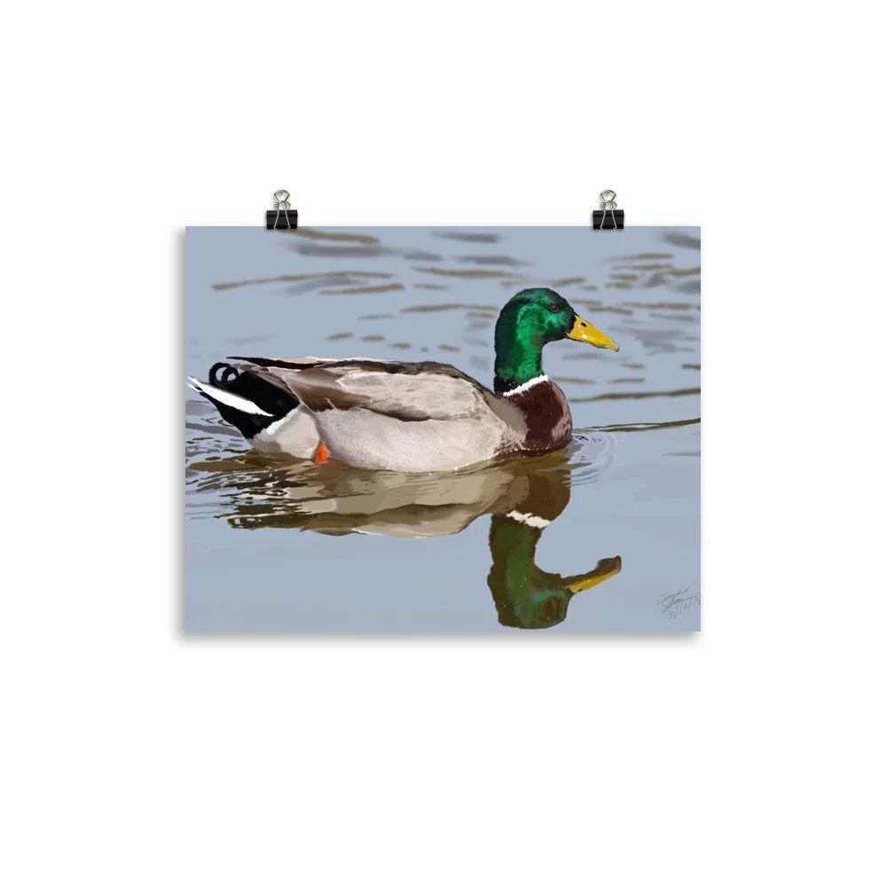 enhanced-matte-paper-poster-(in)-11x14-transparent-68d0a4e8ea1fa.jpg