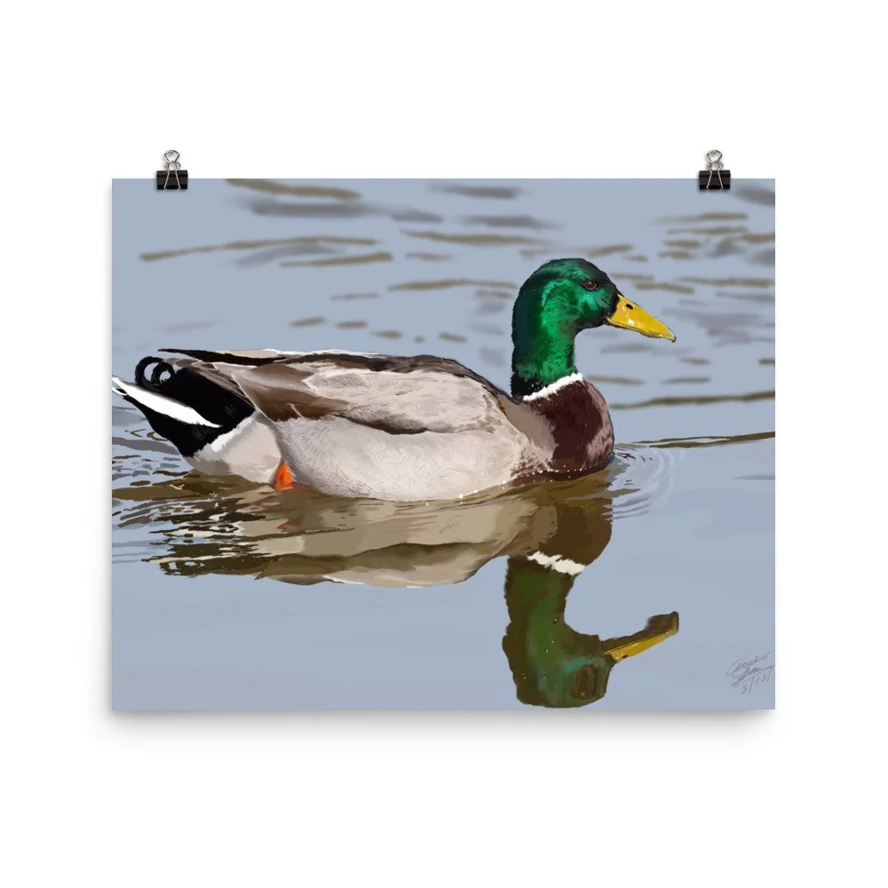 enhanced-matte-paper-poster-(in)-16x20-transparent-68d0a4e8eaba4.jpg