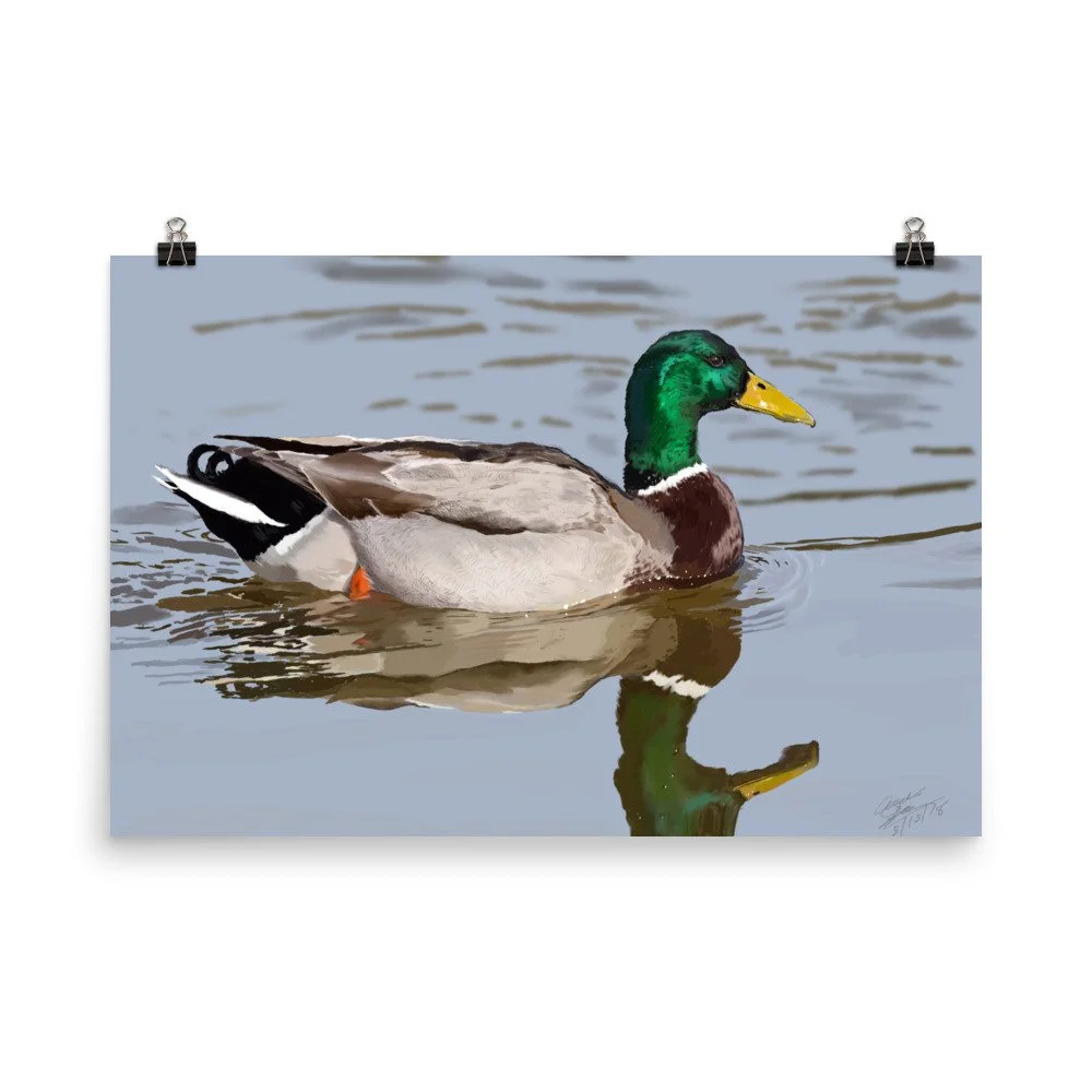 enhanced-matte-paper-poster-(in)-24x36-transparent-68d0a4e8eac6c.jpg