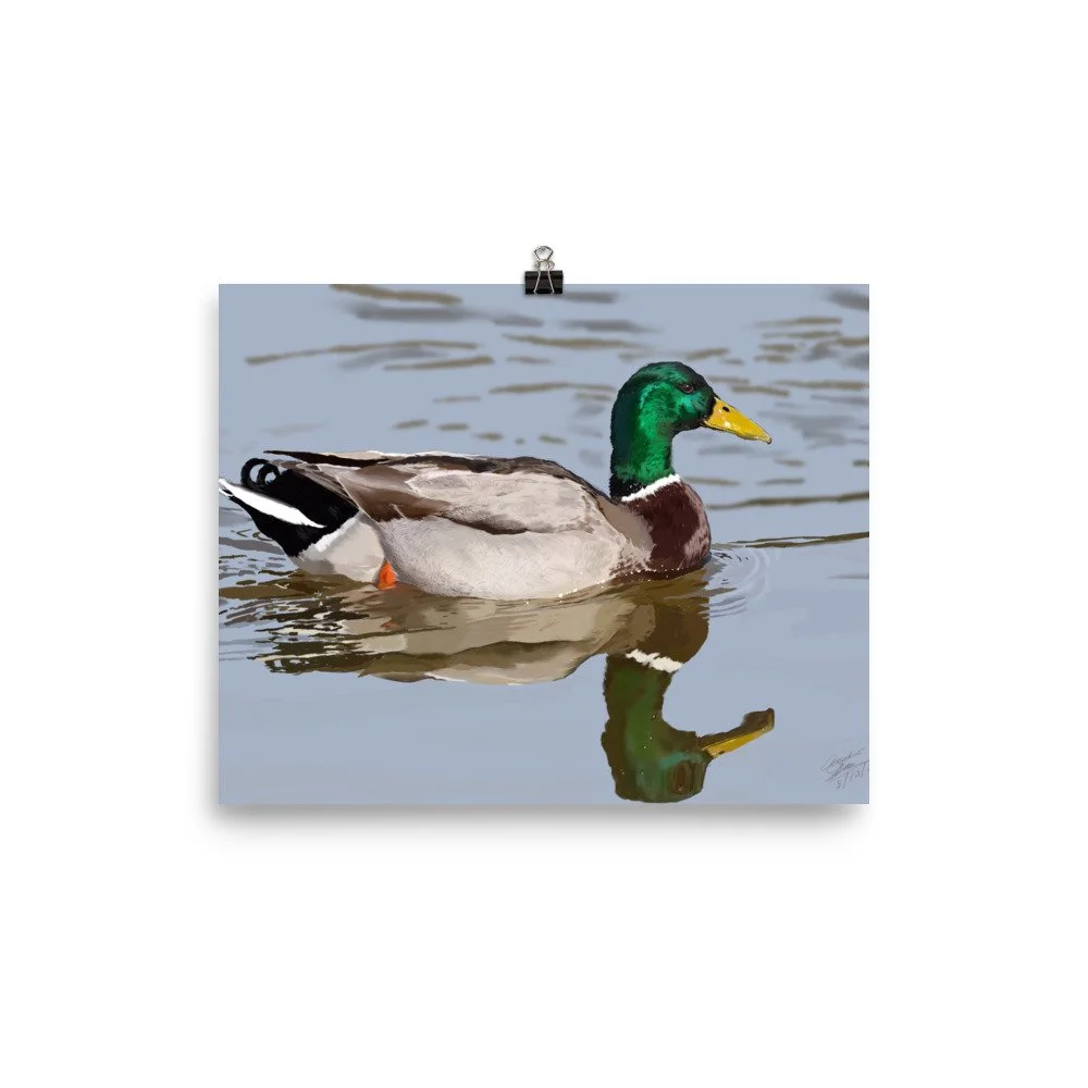 enhanced-matte-paper-poster-(in)-8x10-transparent-68d0a4e8ead12.jpg