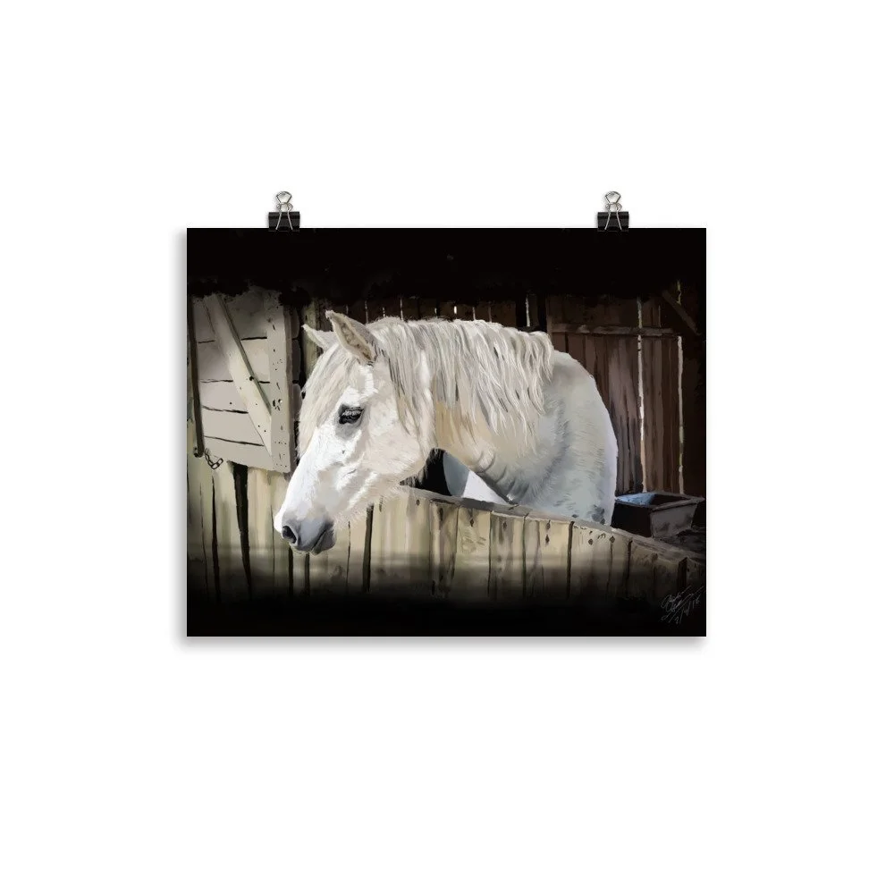 enhanced-matte-paper-poster-(in)-11x14-transparent-68d0ac3e56e12.jpg