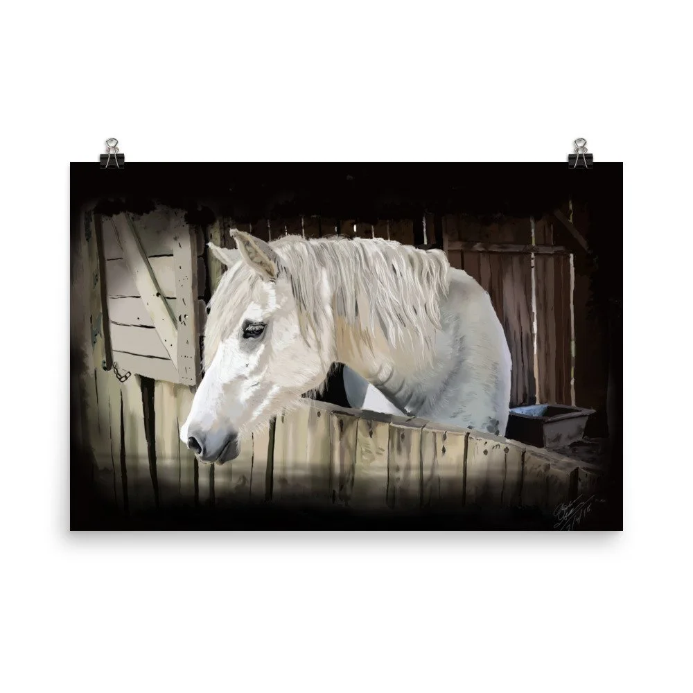 enhanced-matte-paper-poster-(in)-24x36-transparent-68d0ac3e57513.jpg
