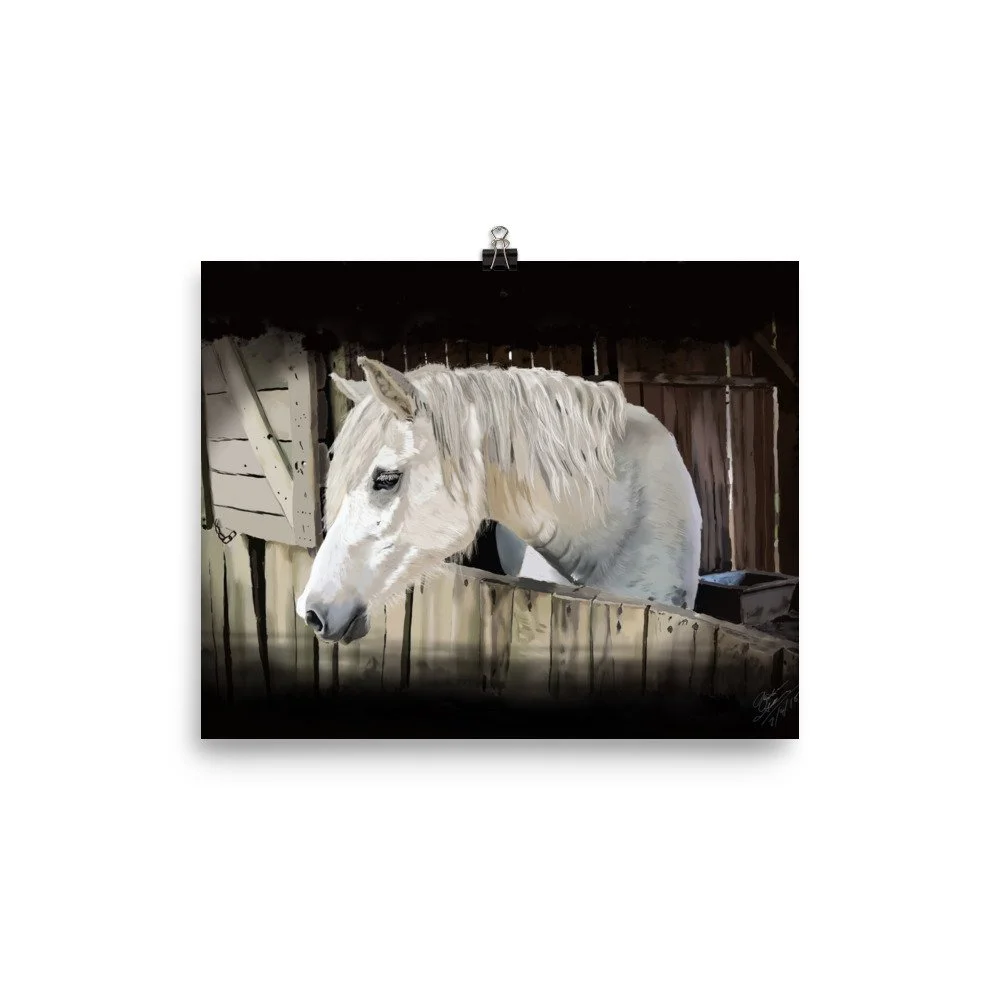 enhanced-matte-paper-poster-(in)-8x10-transparent-68d0ac3e575b2.jpg