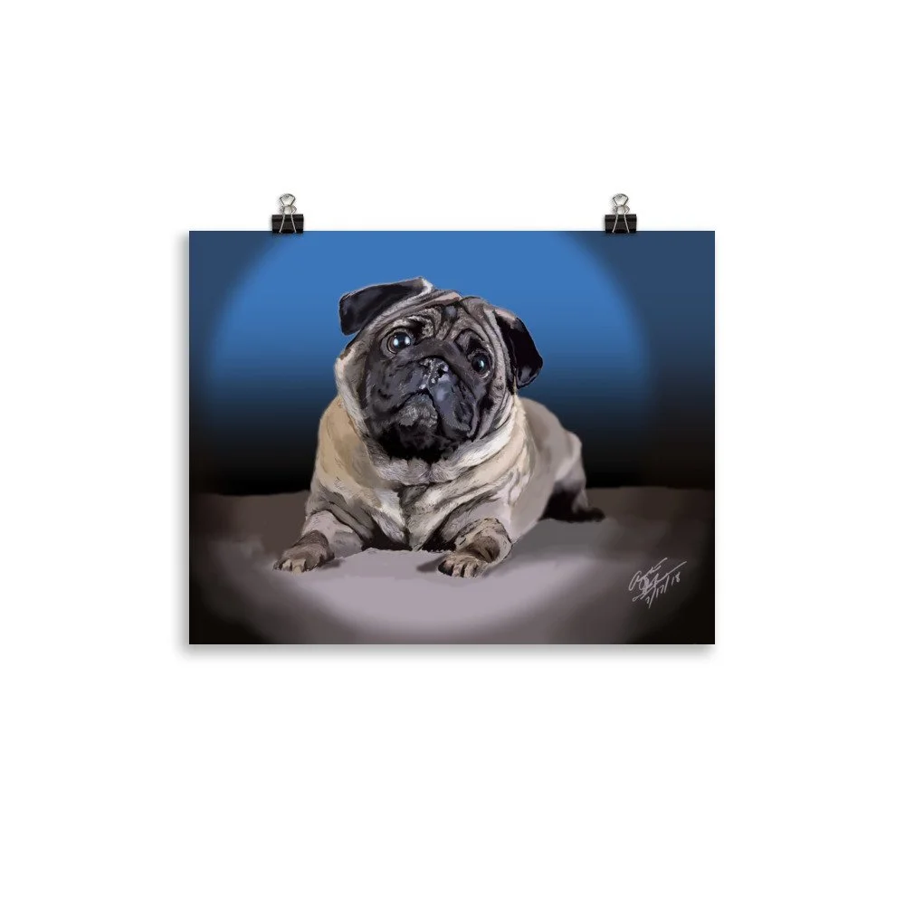 enhanced-matte-paper-poster-(in)-11x14-transparent-68d0ae4cf205d.jpg