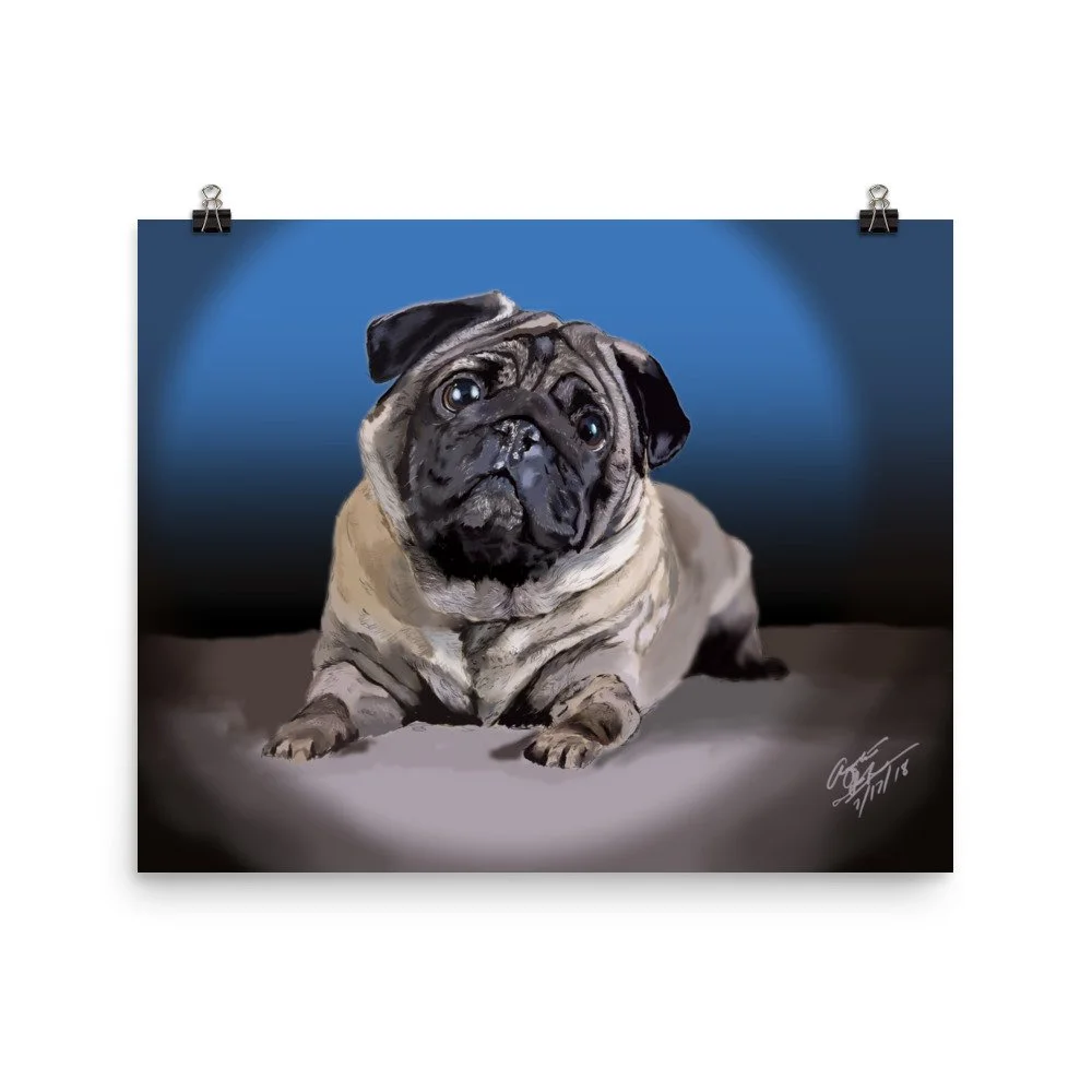 enhanced-matte-paper-poster-(in)-16x20-transparent-68d0ae4cf25df.jpg