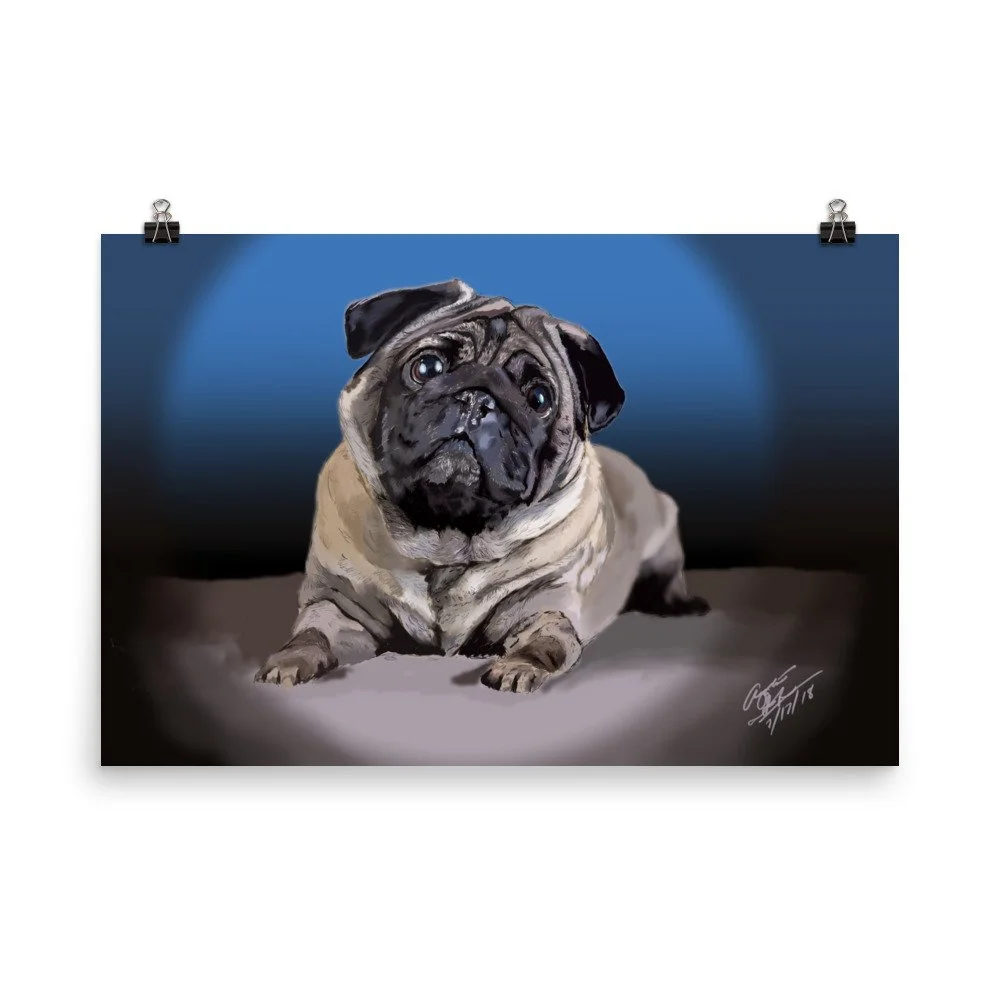 enhanced-matte-paper-poster-(in)-24x36-transparent-68d0ae4cf2693.jpg
