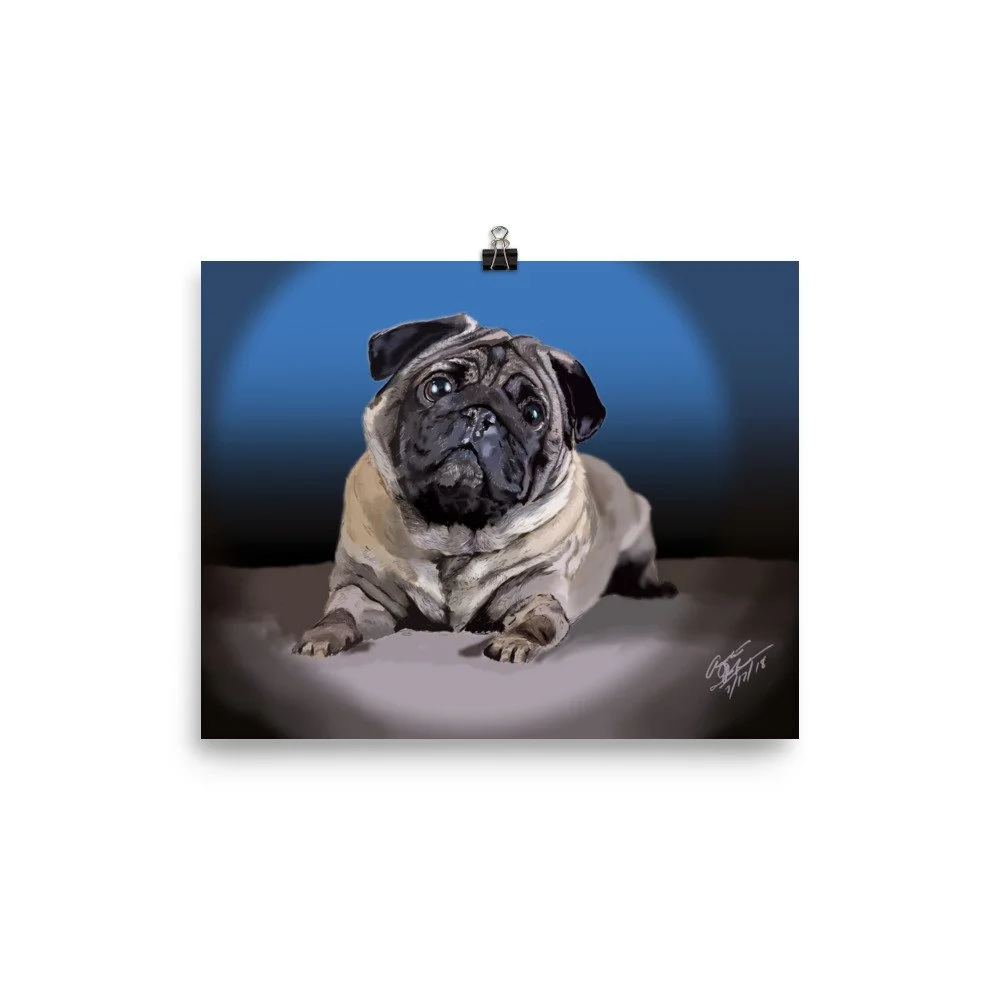 enhanced-matte-paper-poster-(in)-8x10-transparent-68d0ae4cf2732.jpg