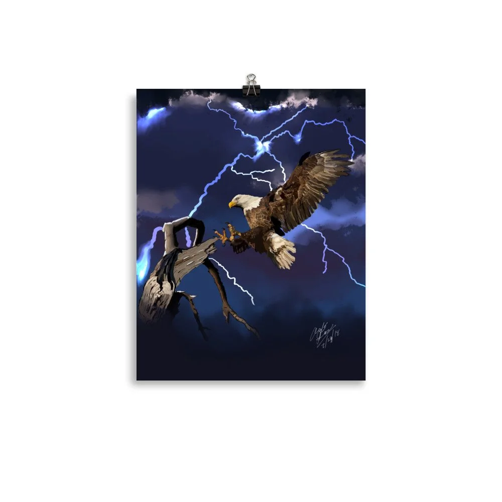 enhanced-matte-paper-poster-(in)-11x14-transparent-68d0af561e5d3.jpg