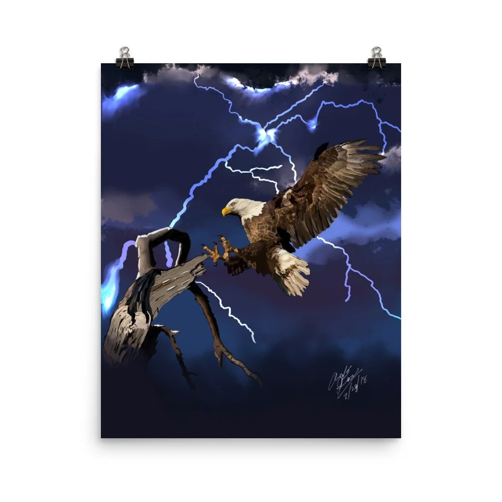 enhanced-matte-paper-poster-(in)-16x20-transparent-68d0af561f1b6.jpg