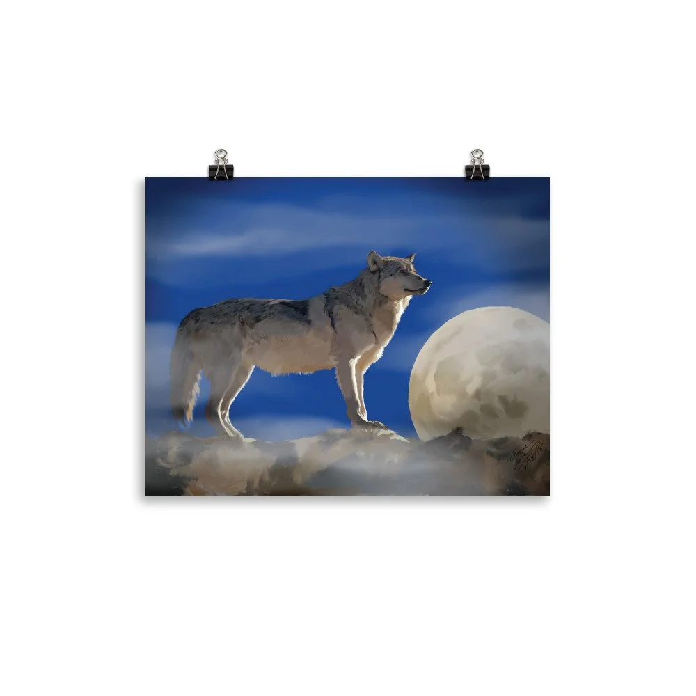 enhanced-matte-paper-poster-(in)-11x14-transparent-68d0ba62db422.jpg