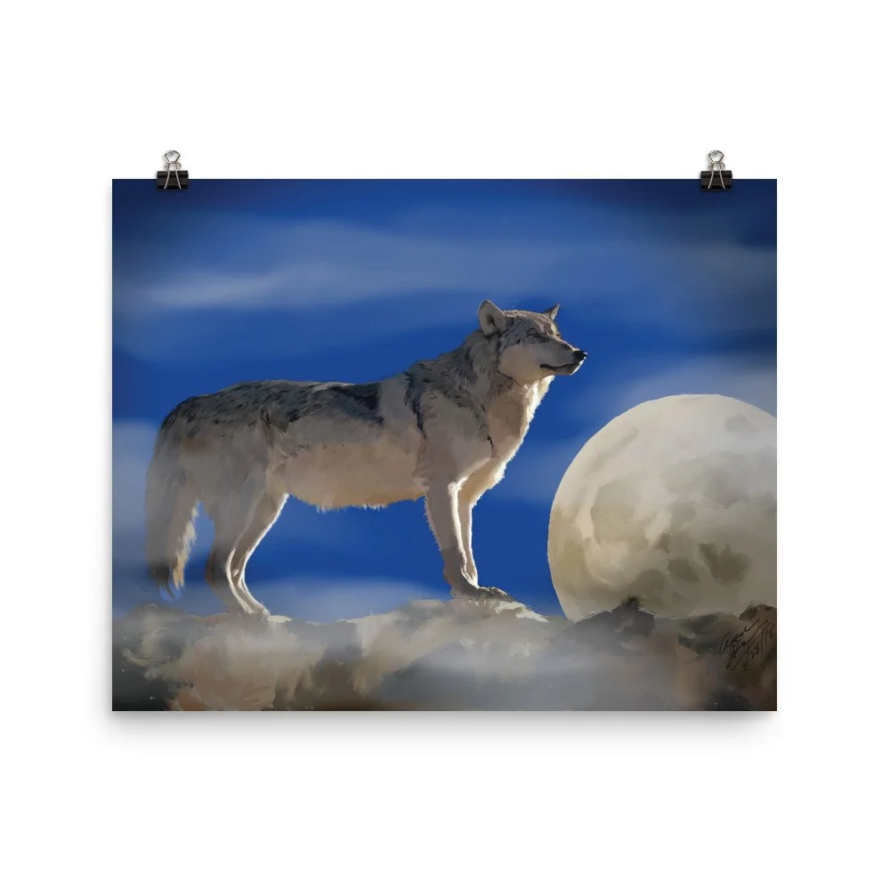 enhanced-matte-paper-poster-(in)-16x20-transparent-68d0ba62dbe17.jpg