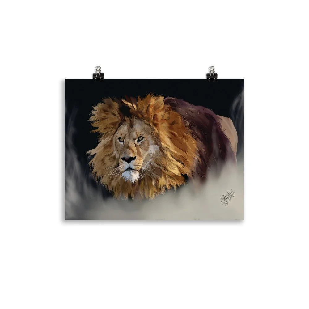 enhanced-matte-paper-poster-(in)-11x14-transparent-68d1d53ae39c5.jpg
