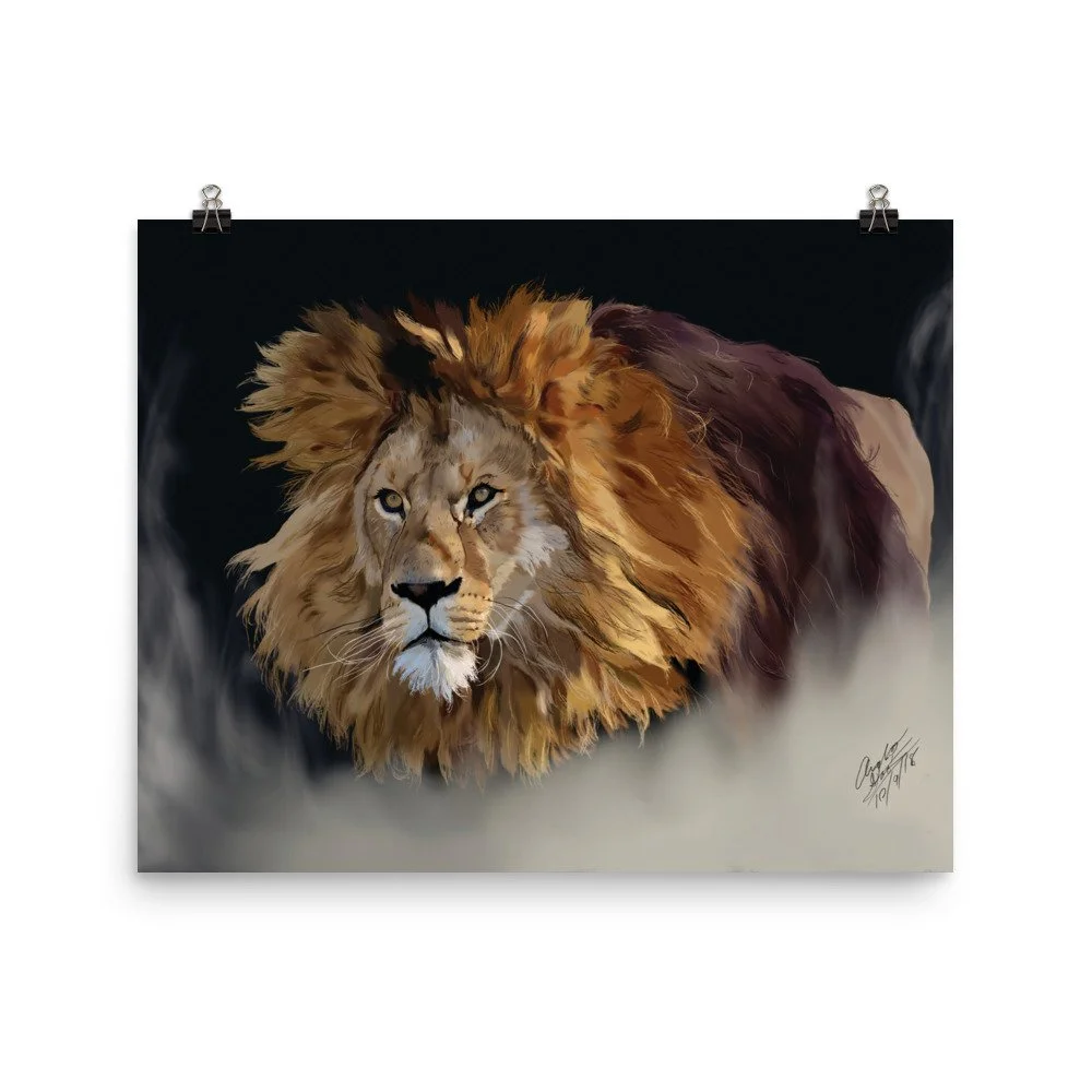 enhanced-matte-paper-poster-(in)-16x20-transparent-68d1d53ae4124.jpg