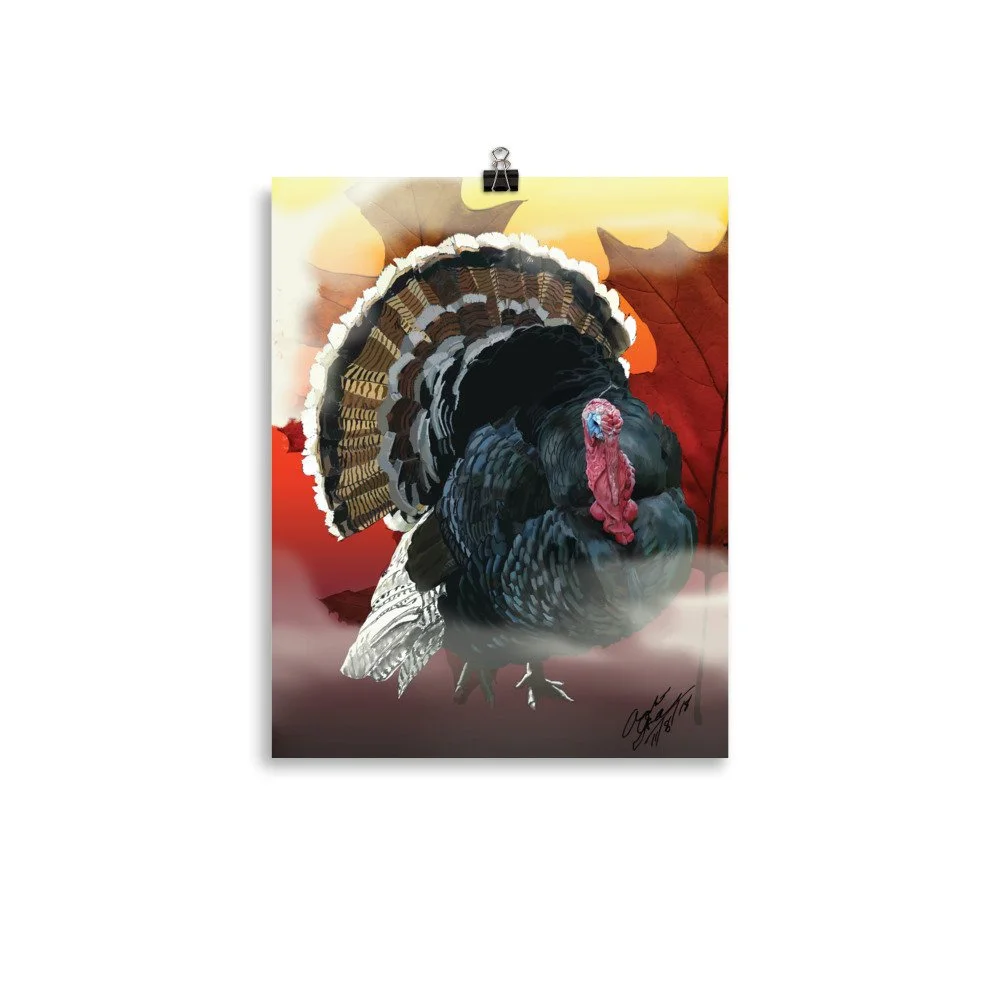 enhanced-matte-paper-poster-(in)-11x14-transparent-68d1dc5d1fb18.jpg