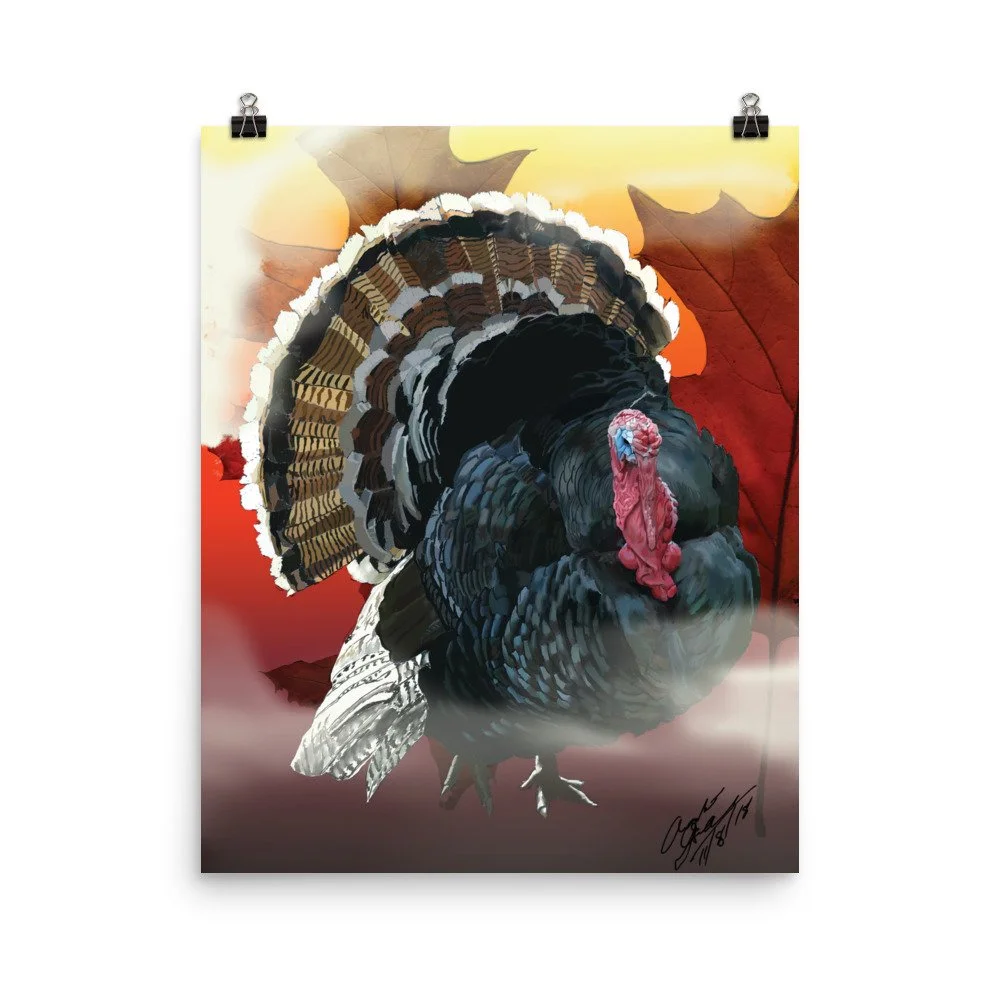 enhanced-matte-paper-poster-(in)-16x20-transparent-68d1dc5d200f6.jpg