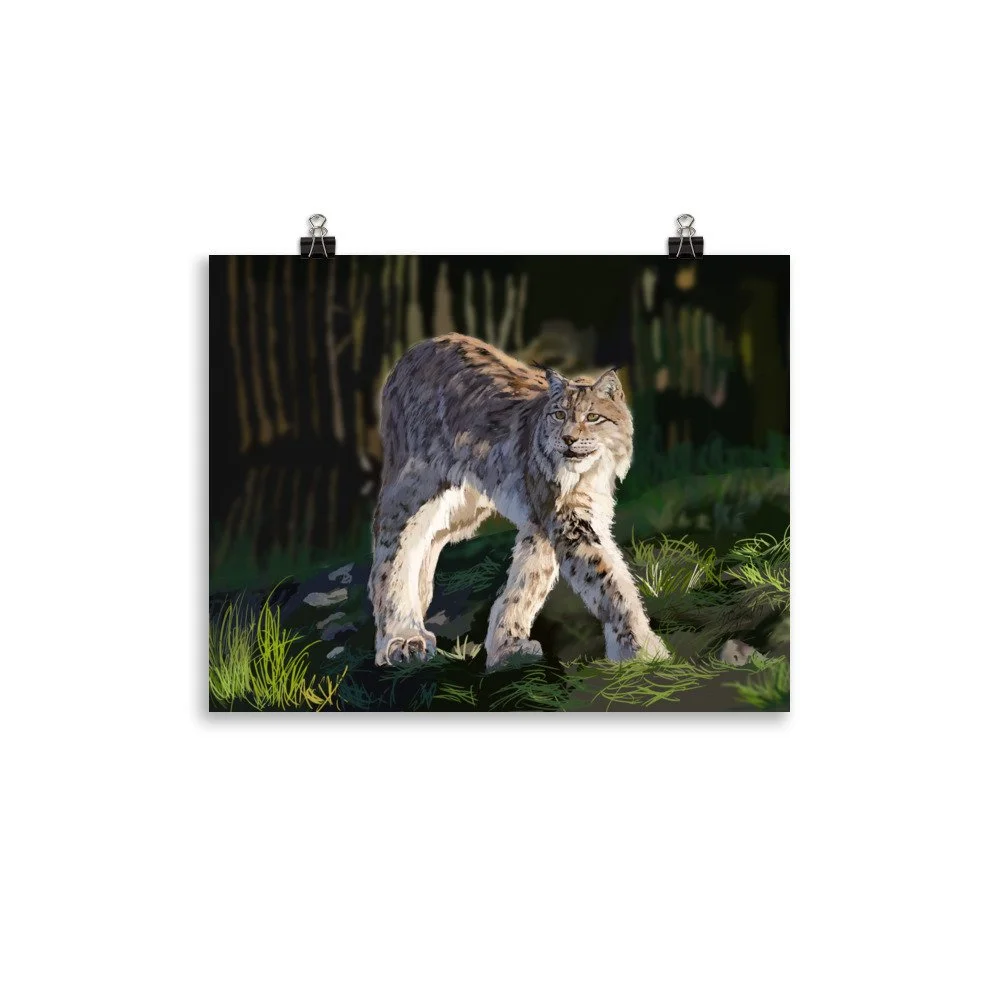 enhanced-matte-paper-poster-(in)-11x14-transparent-68d1e5fd5f9fc.jpg