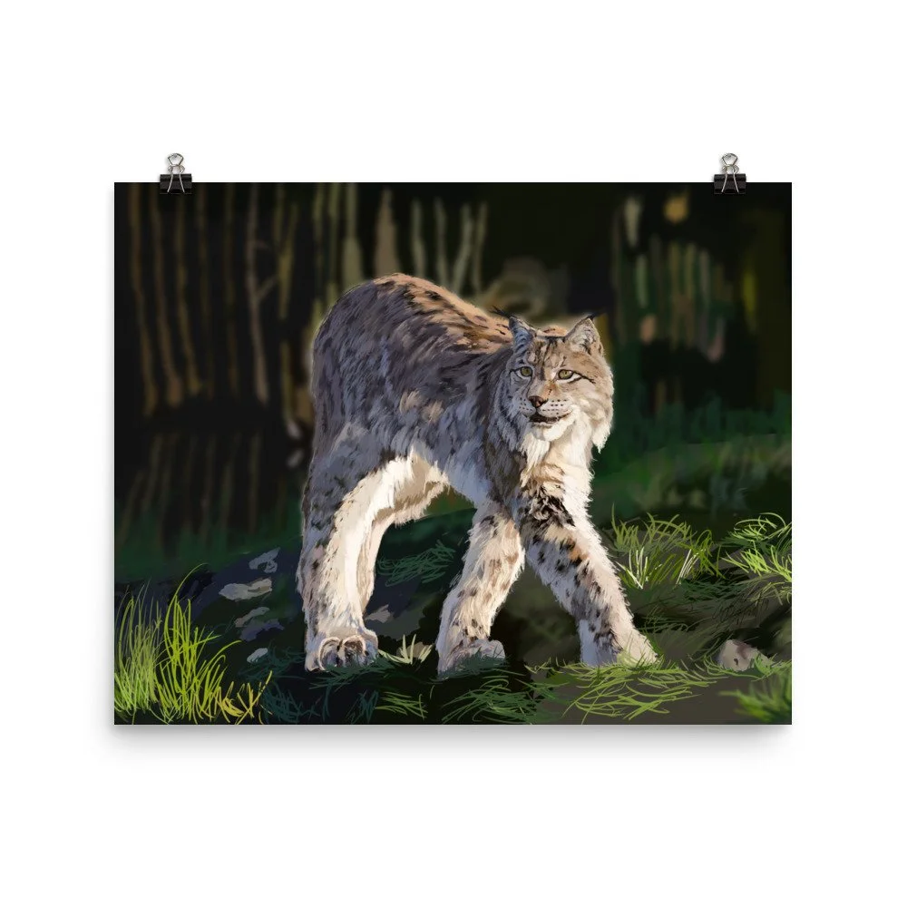 enhanced-matte-paper-poster-(in)-16x20-transparent-68d1e5fd600cb.jpg