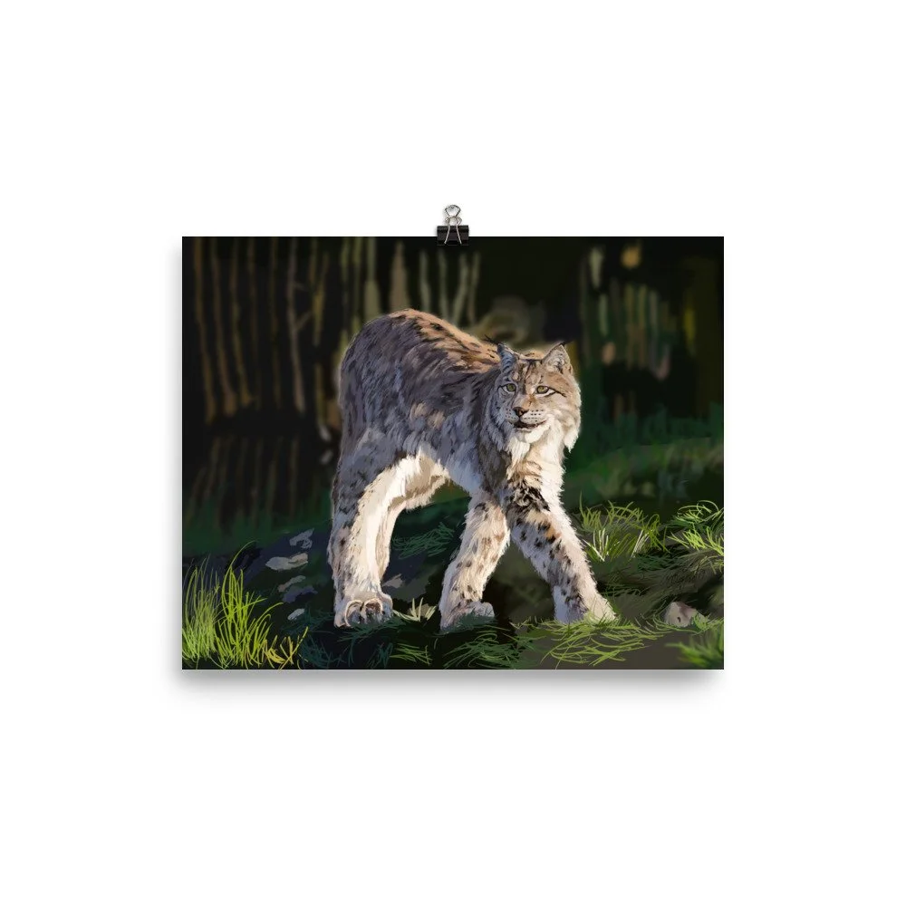 enhanced-matte-paper-poster-(in)-8x10-transparent-68d1e5fd602fb.jpg