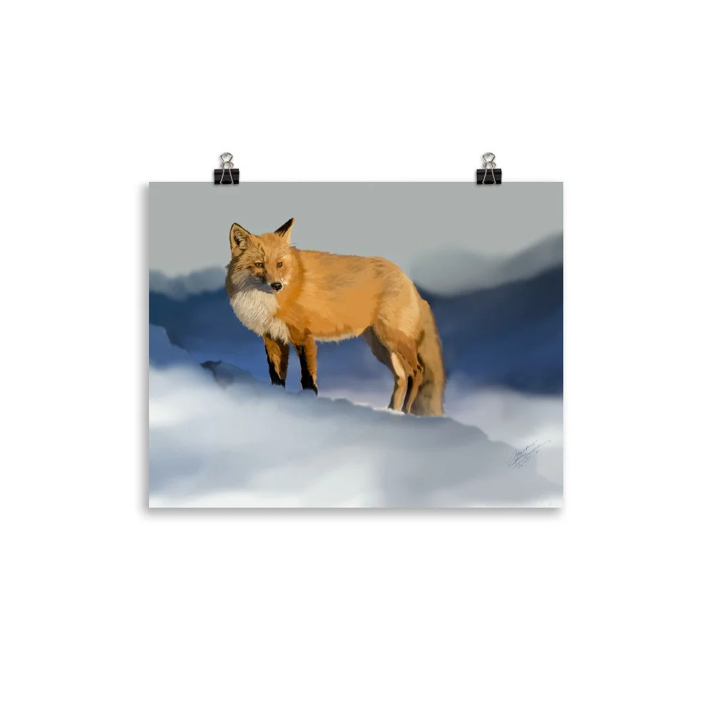 enhanced-matte-paper-poster-(in)-11x14-transparent-68d1e8001d569.jpg