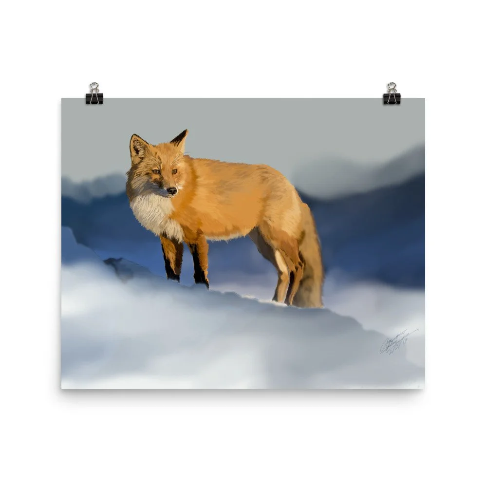 enhanced-matte-paper-poster-(in)-16x20-transparent-68d1e8001e06a.jpg
