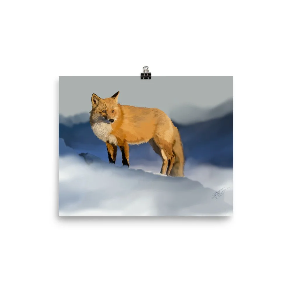 enhanced-matte-paper-poster-(in)-8x10-transparent-68d1e8001e225.jpg