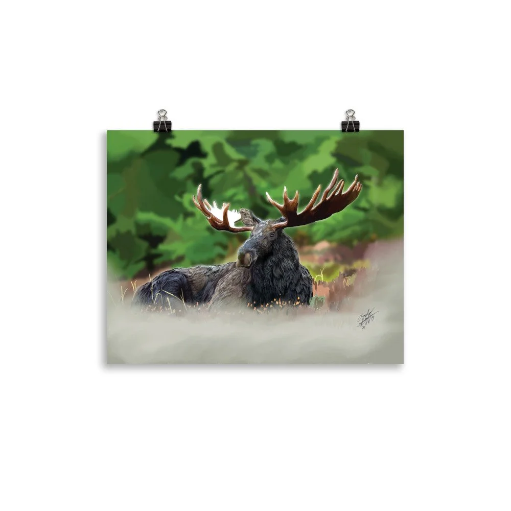 enhanced-matte-paper-poster-(in)-11x14-transparent-68d1f31528c26.jpg
