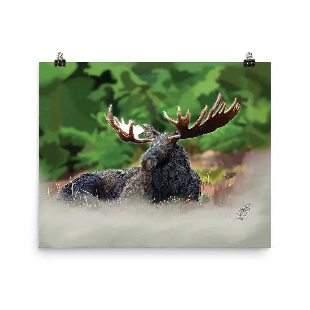 enhanced-matte-paper-poster-(in)-16x20-transparent-68d1f3152913e.jpg