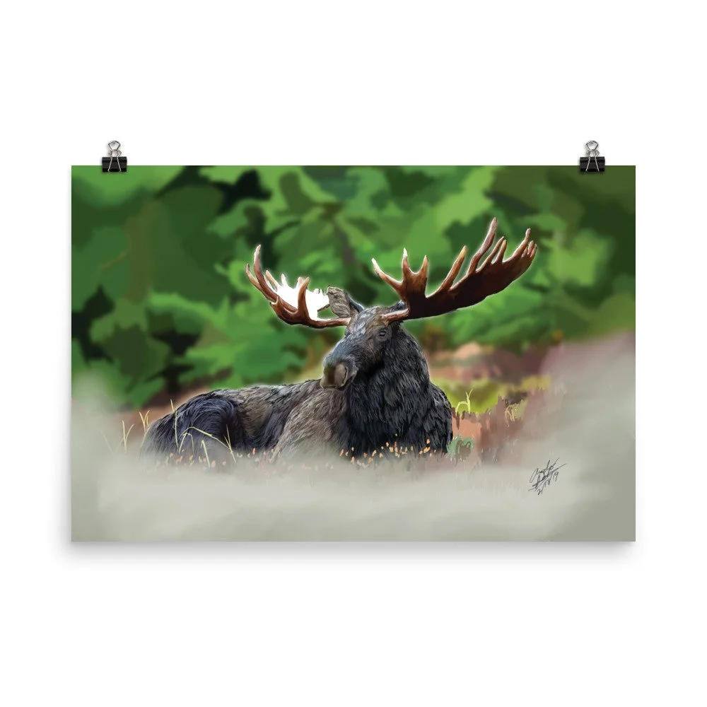 enhanced-matte-paper-poster-(in)-24x36-transparent-68d1f315291f0.jpg