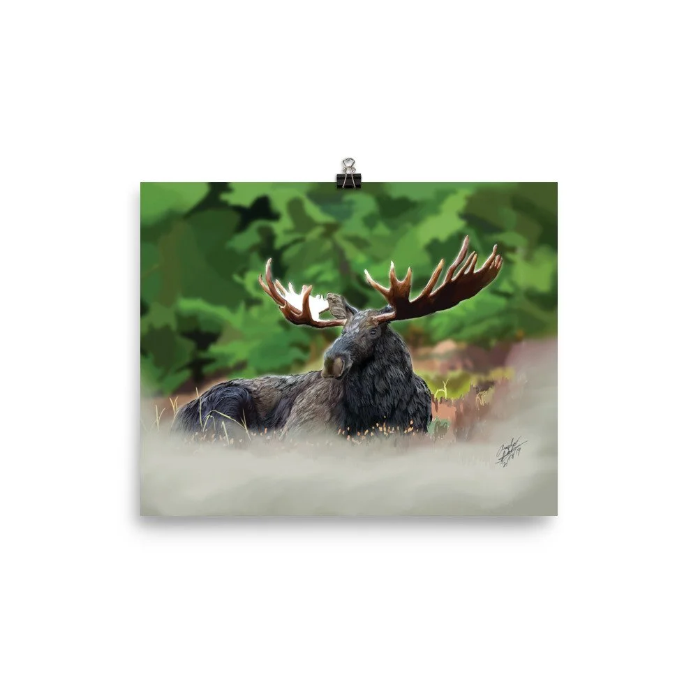 enhanced-matte-paper-poster-(in)-8x10-transparent-68d1f3152928c.jpg