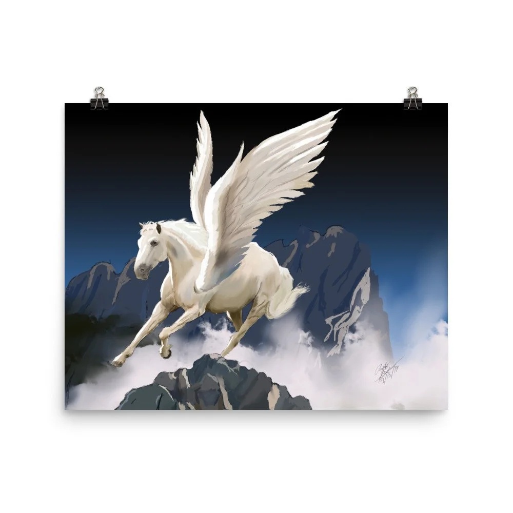 enhanced-matte-paper-poster-(in)-16x20-transparent-68d1f52736557.jpg