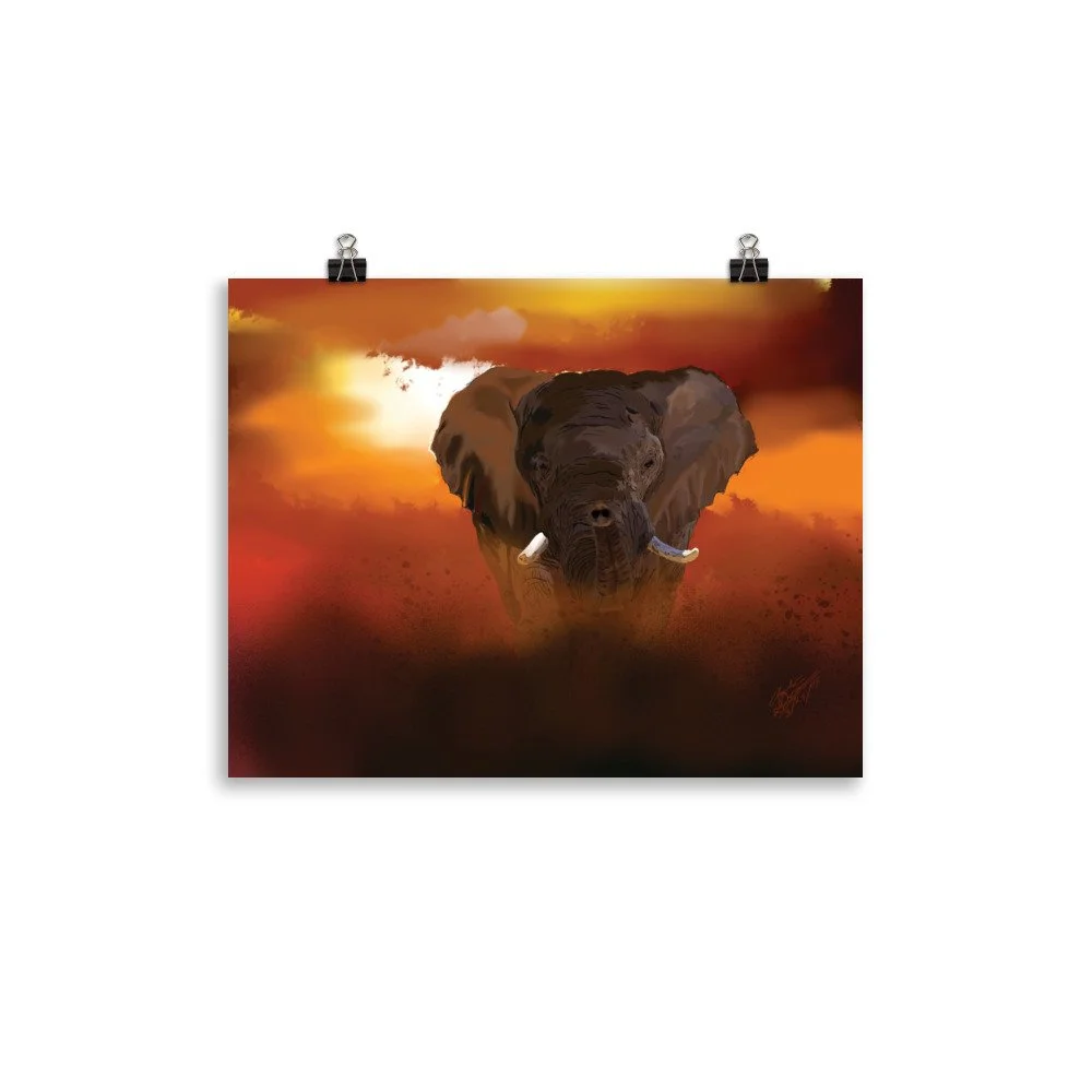 enhanced-matte-paper-poster-(in)-11x14-transparent-68d1fd19454c8.jpg