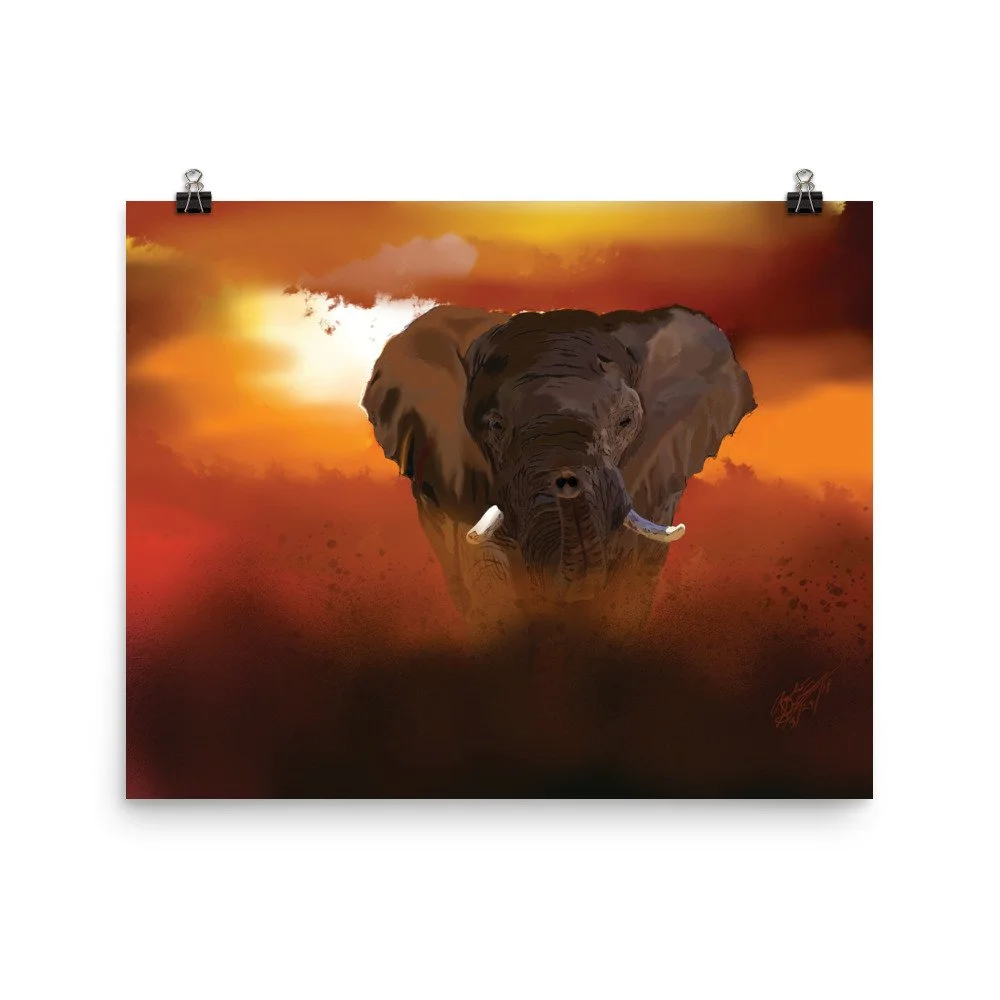 enhanced-matte-paper-poster-(in)-16x20-transparent-68d1fd19459ee.jpg