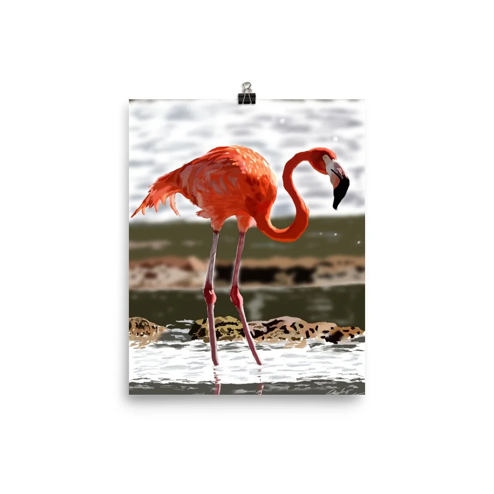 enhanced-matte-paper-poster-(in)-8x10-transparent-68d202e499948.jpg