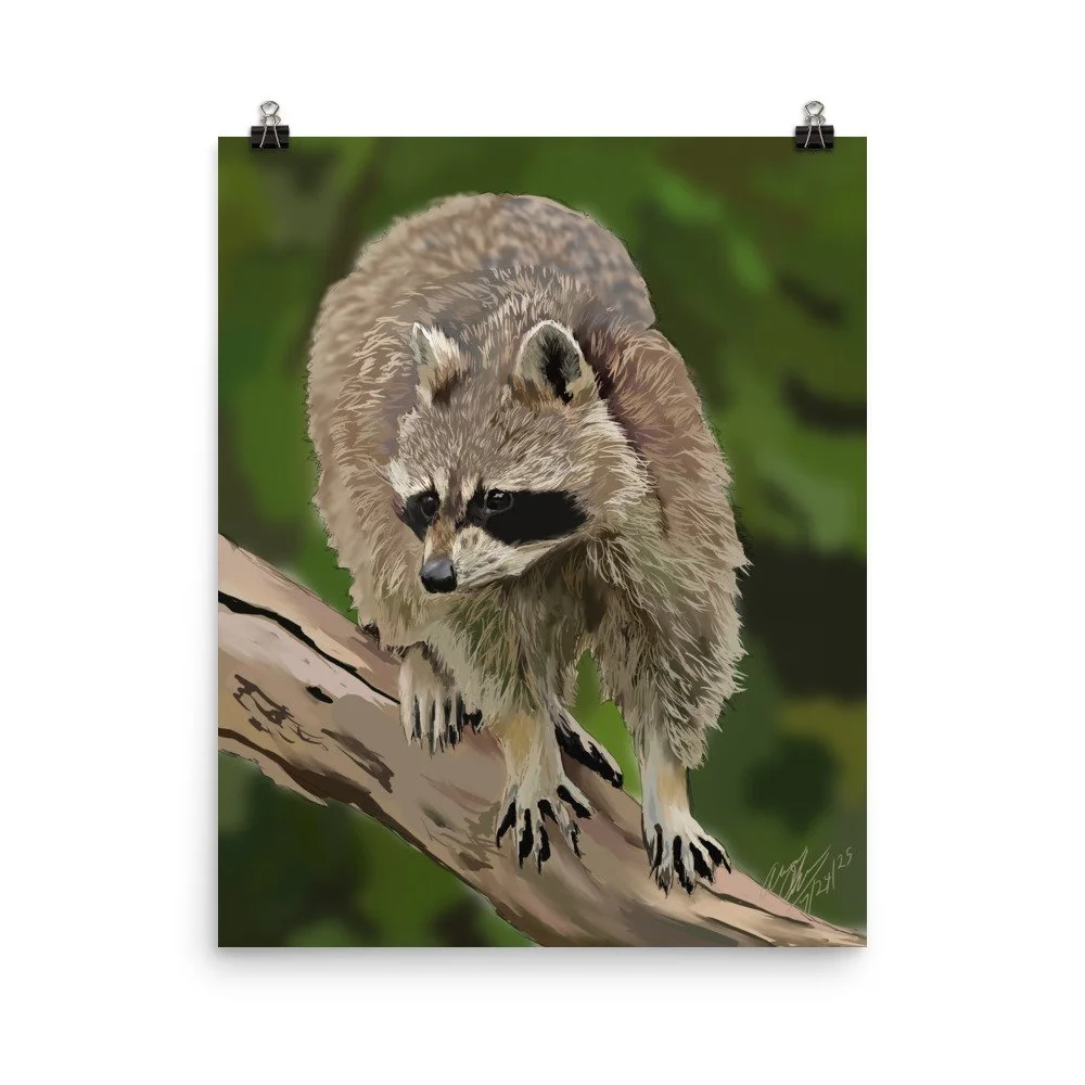 enhanced-matte-paper-poster-(in)-16x20-transparent-68d20aba24471.jpg