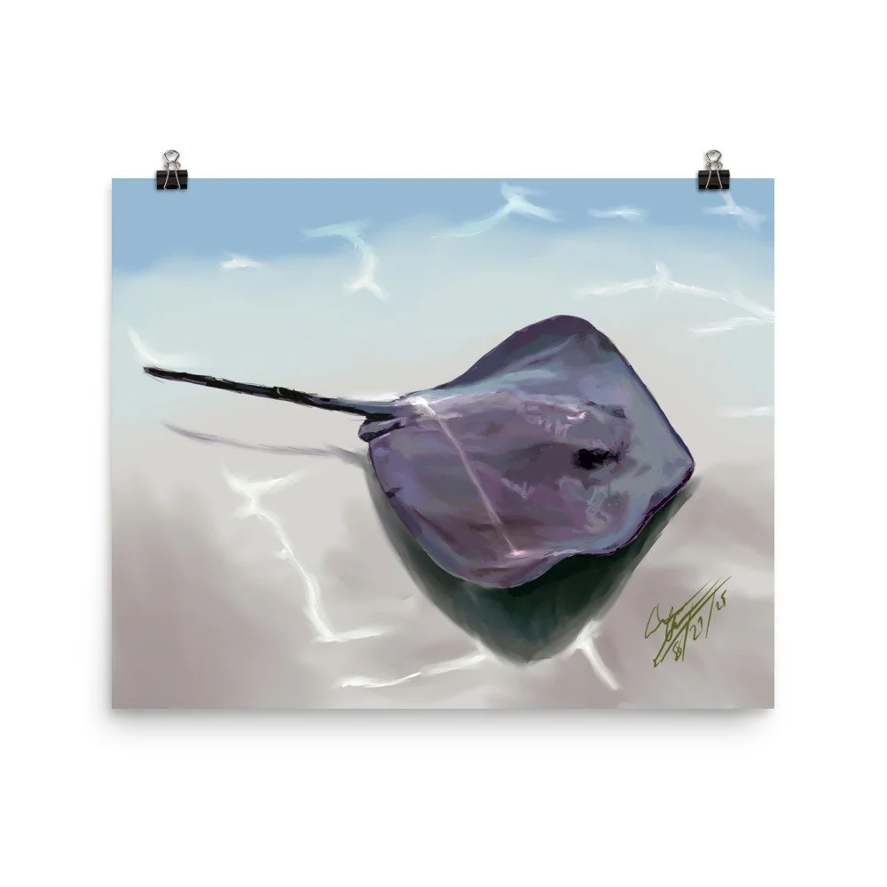 enhanced-matte-paper-poster-(in)-16x20-transparent-68d20c514ce31.jpg