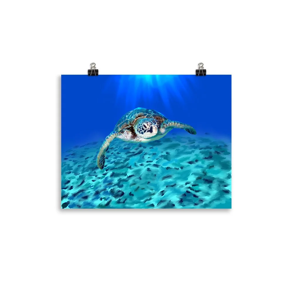 enhanced-matte-paper-poster-(in)-11x14-transparent-68d5d6a69357f.jpg