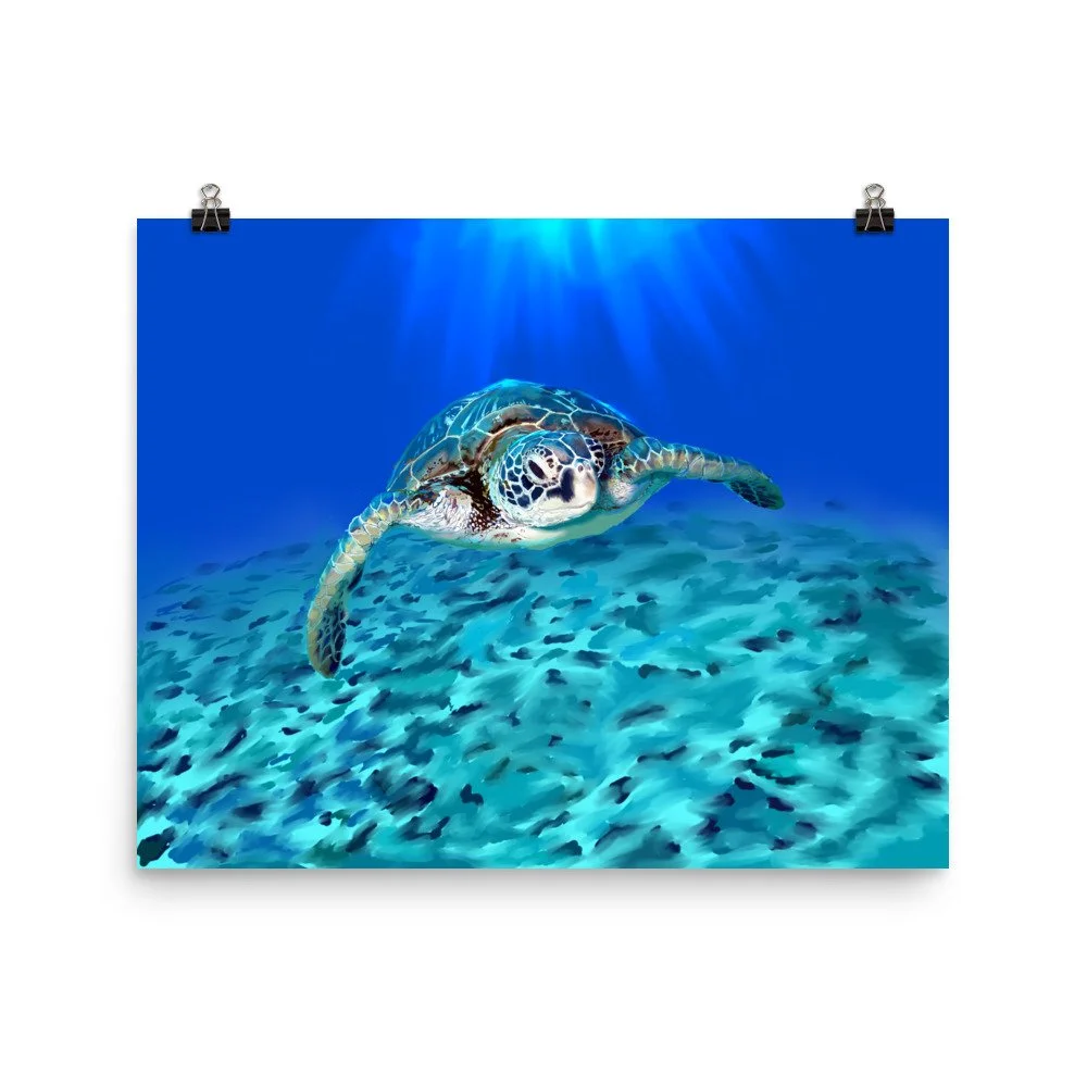 enhanced-matte-paper-poster-(in)-16x20-transparent-68d5d6a694024.jpg