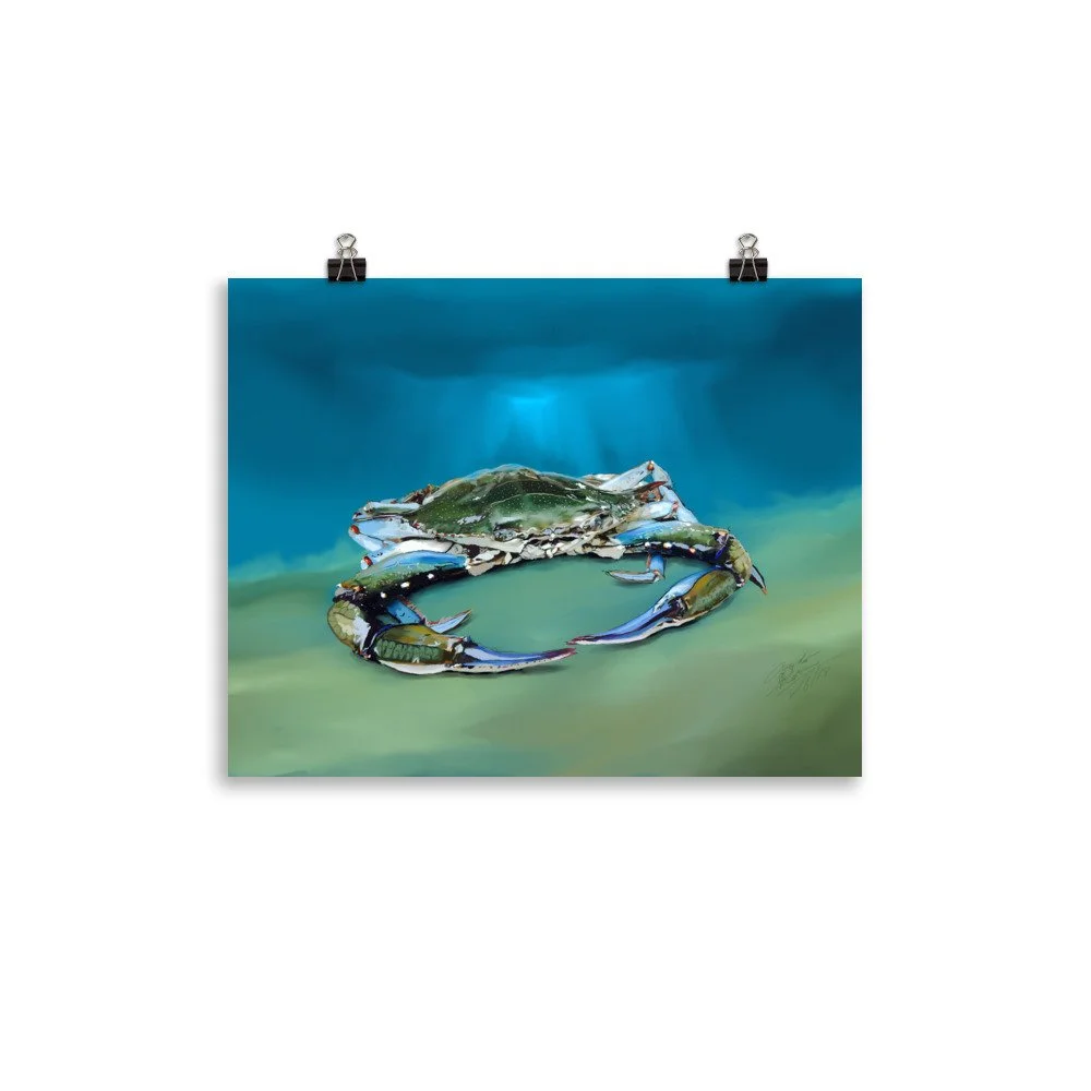 enhanced-matte-paper-poster-(in)-11x14-transparent-68d5d751a77de.jpg