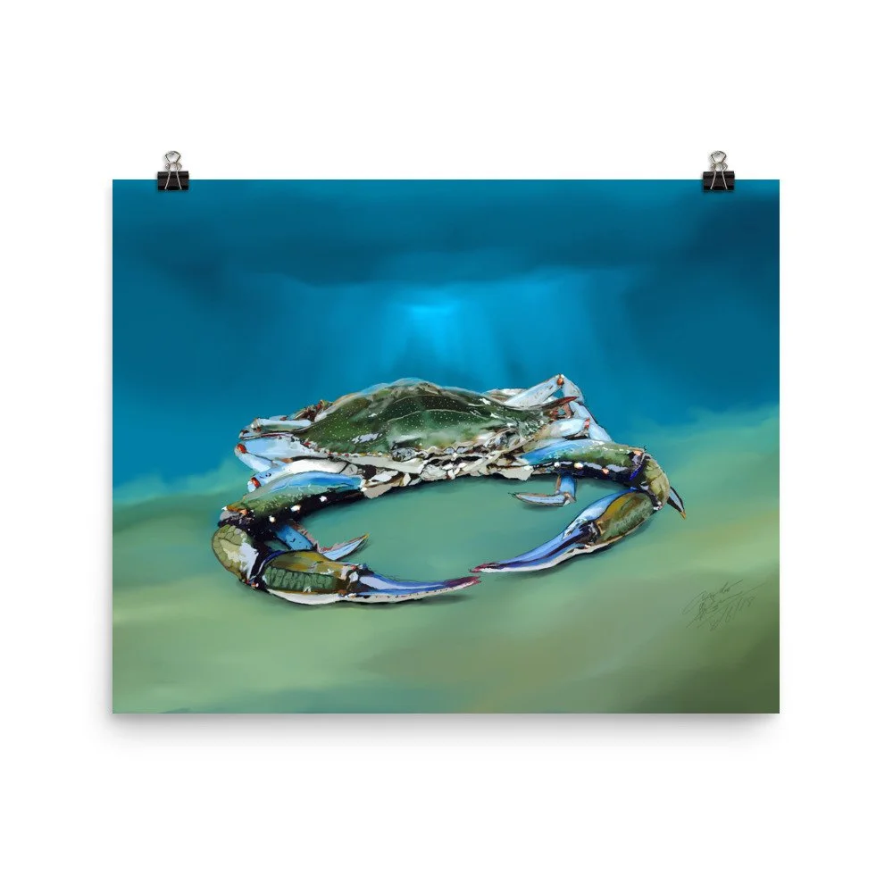 enhanced-matte-paper-poster-(in)-16x20-transparent-68d5d751a82e6.jpg